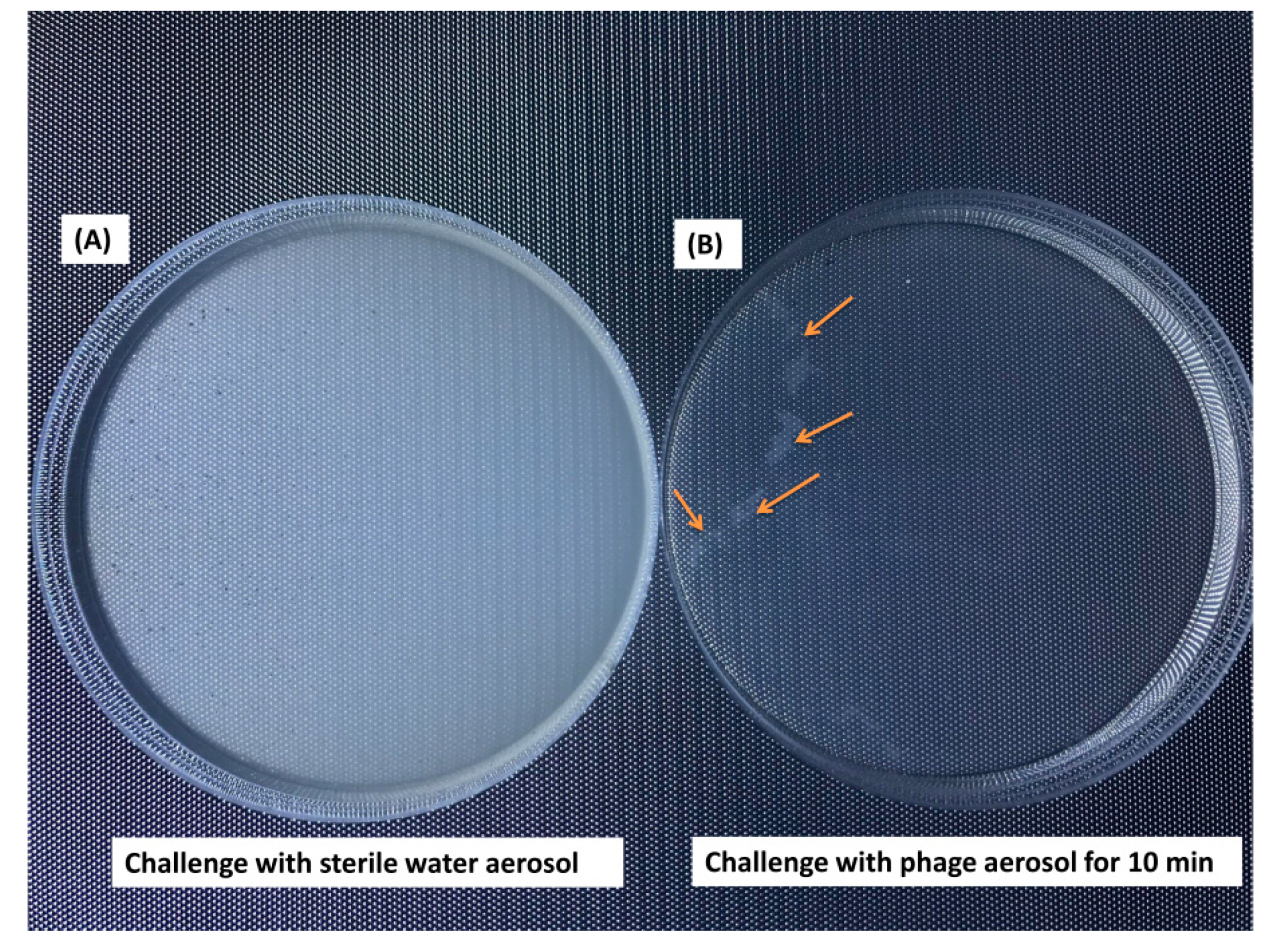 Microorganisms 07 00237 g005 Microorganisms 07 00237 g005