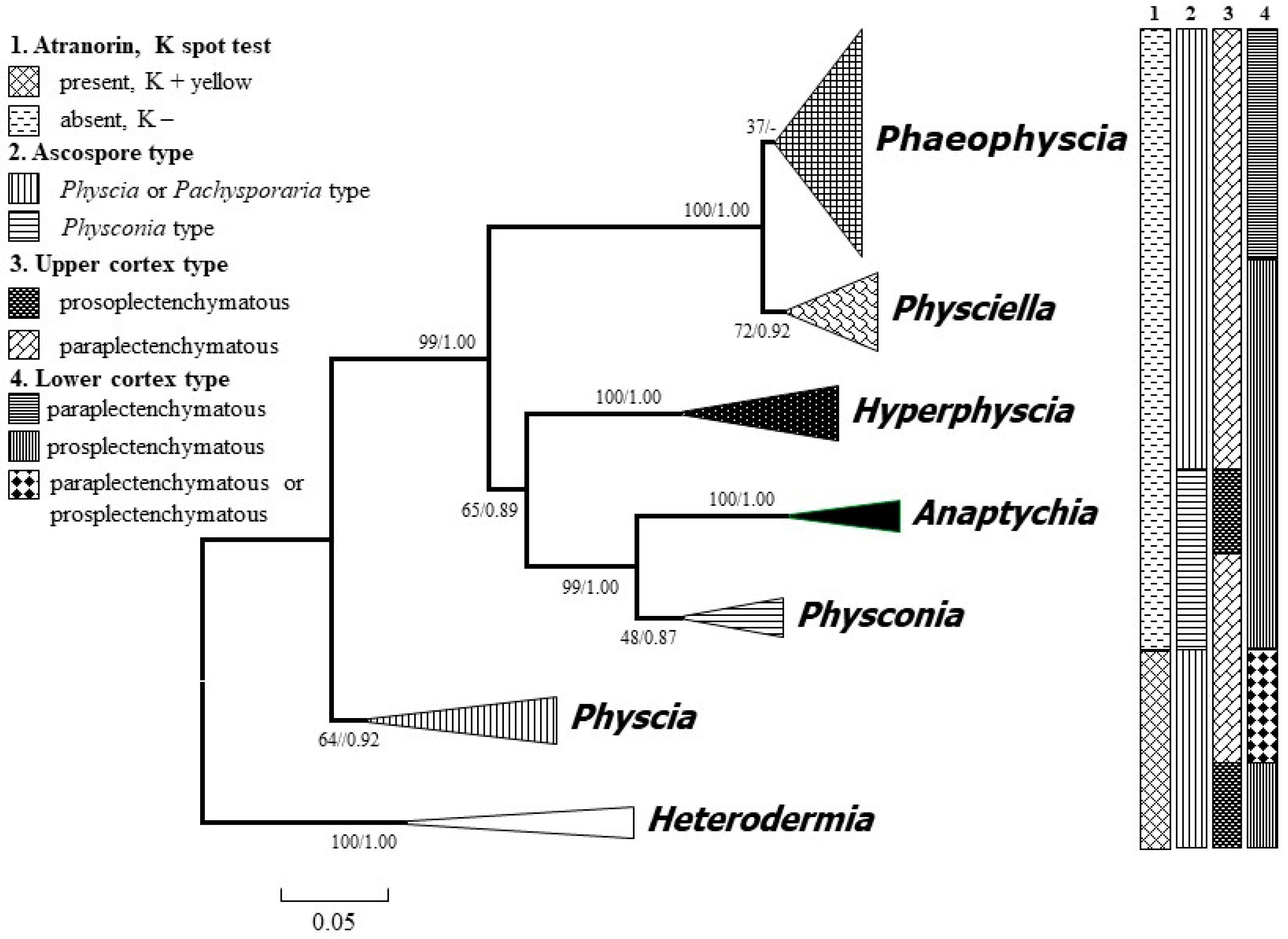 Microorganisms 07 00242 g001