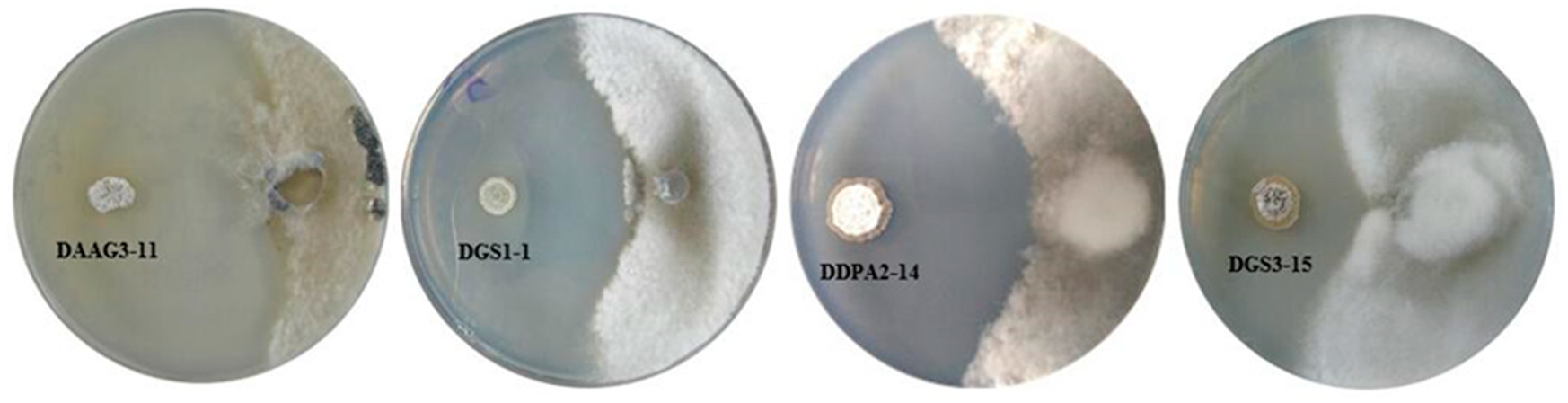 Microorganisms 07 00243 g002 Microorganisms 07 00243 g002