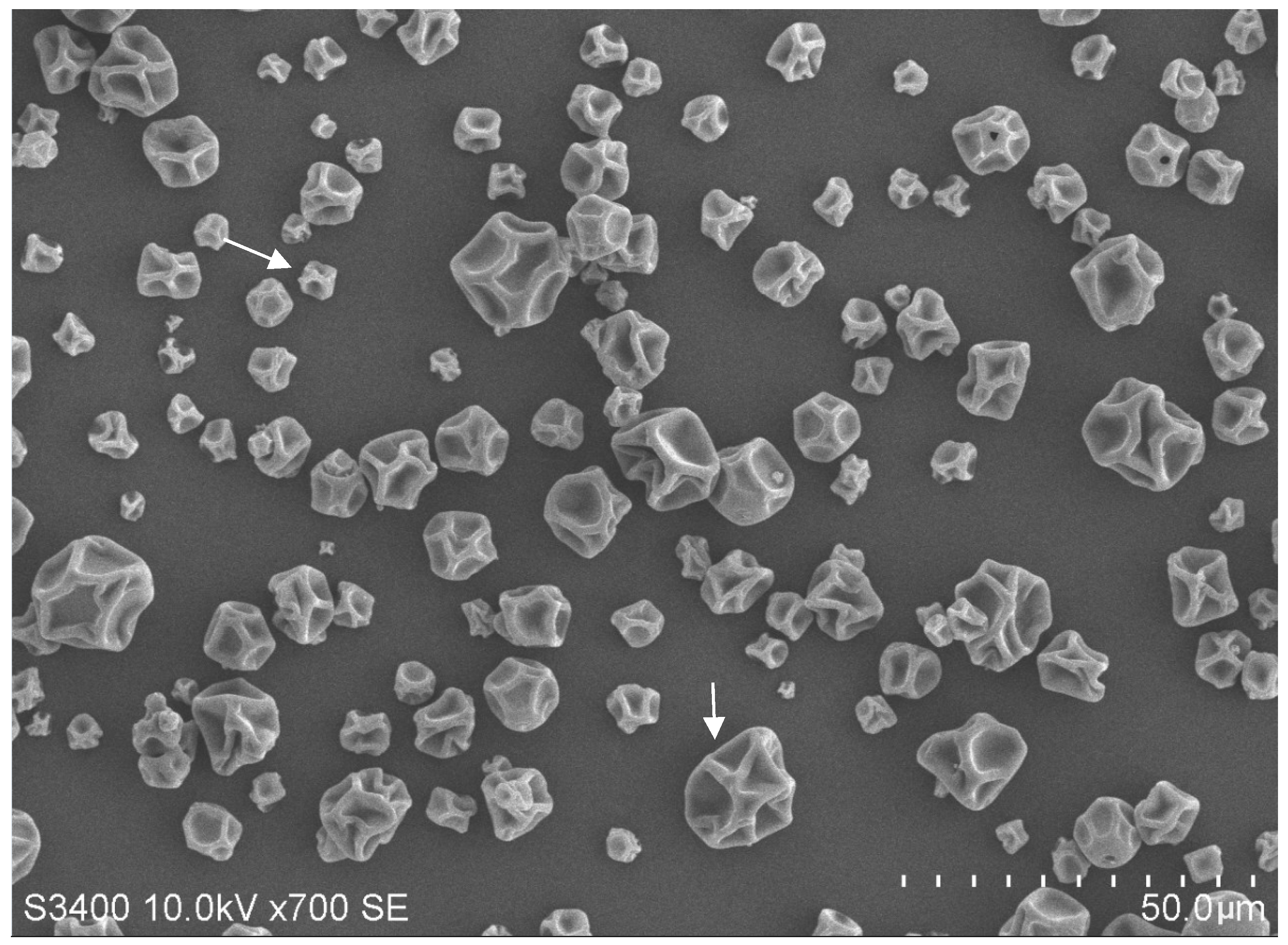 Microorganisms 07 00244 g002 Microorganisms 07 00244 g002