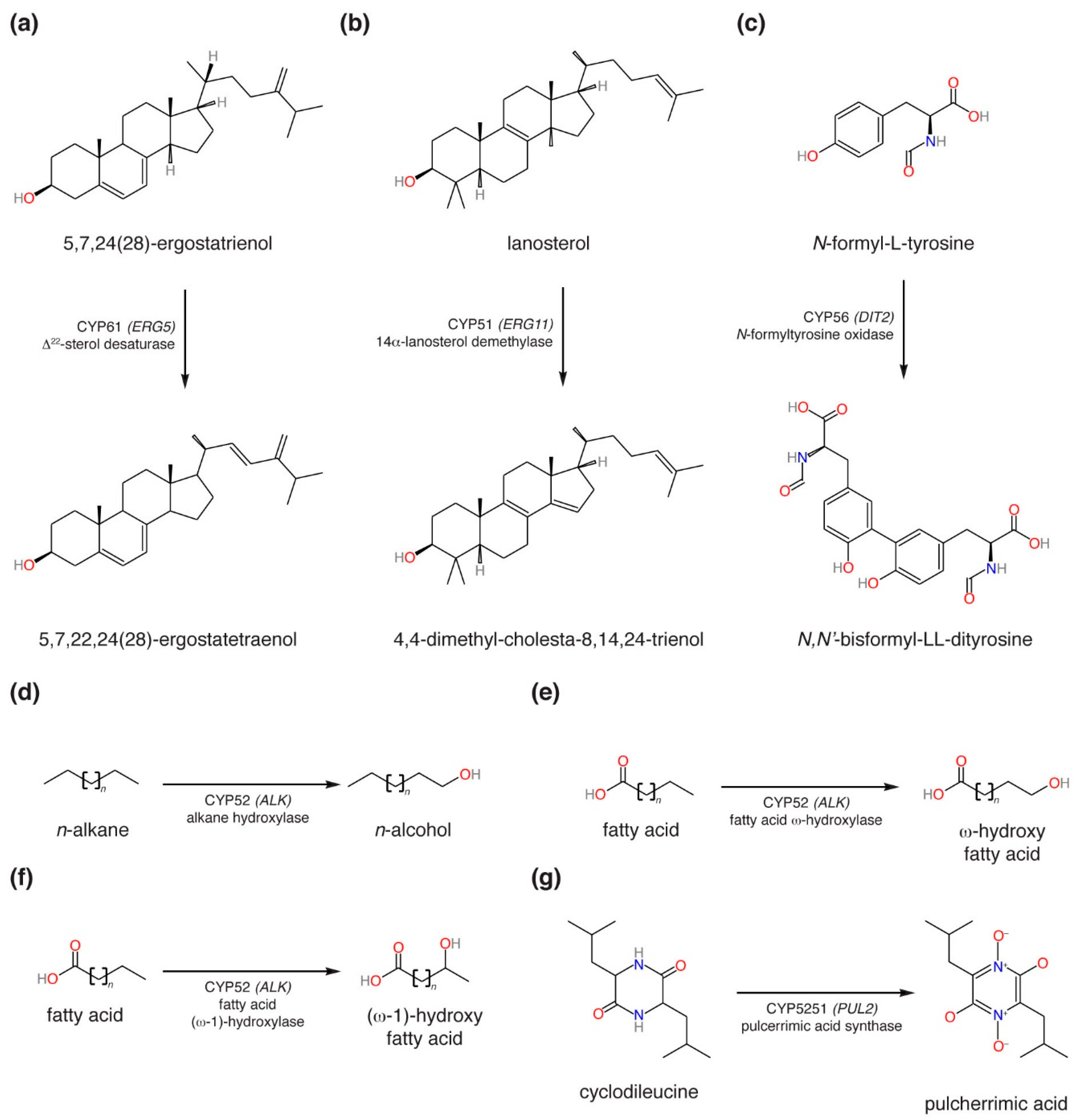 Microorganisms 07 00247 g001