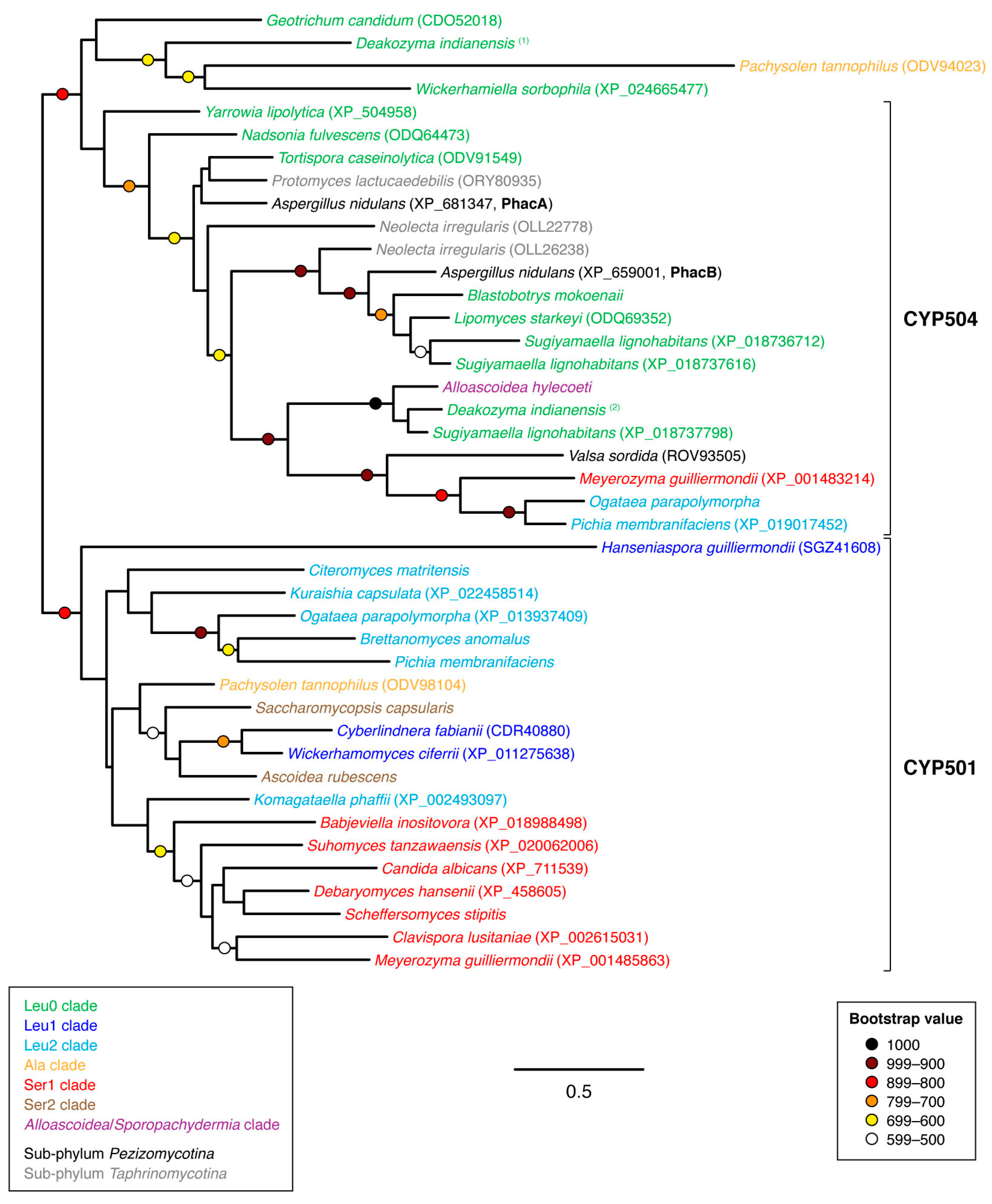 Microorganisms 07 00247 g007