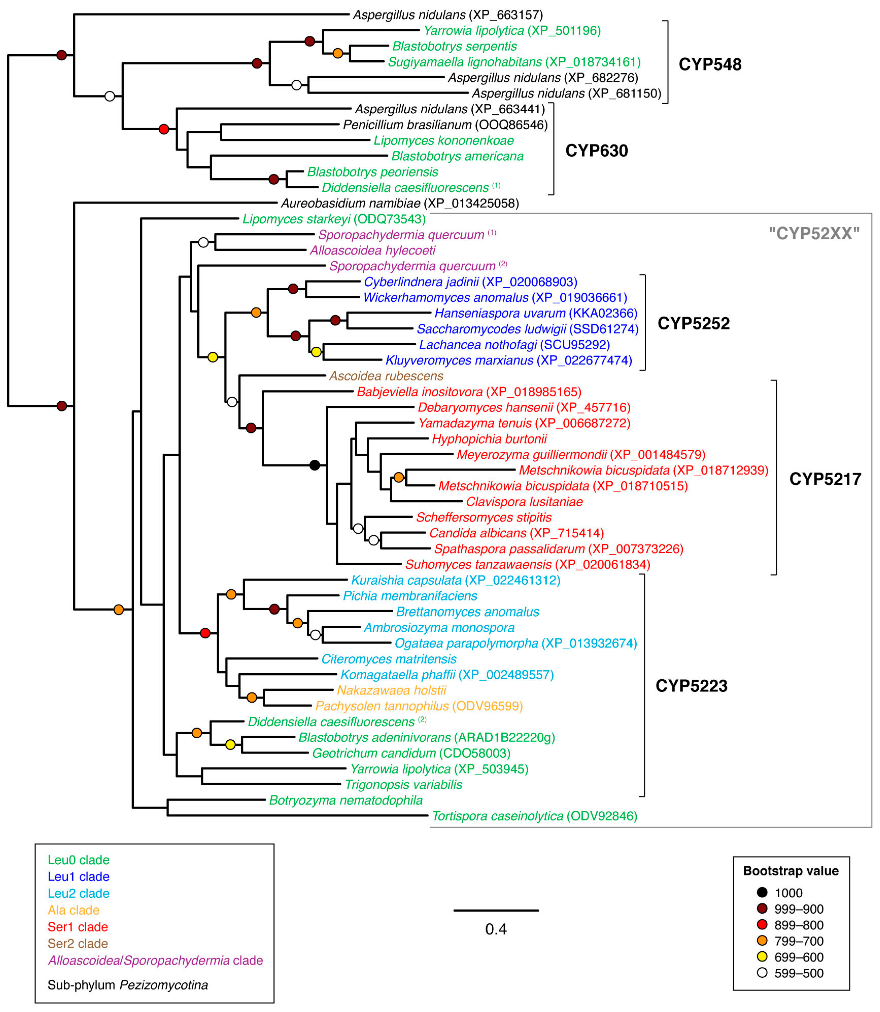 Microorganisms 07 00247 g008