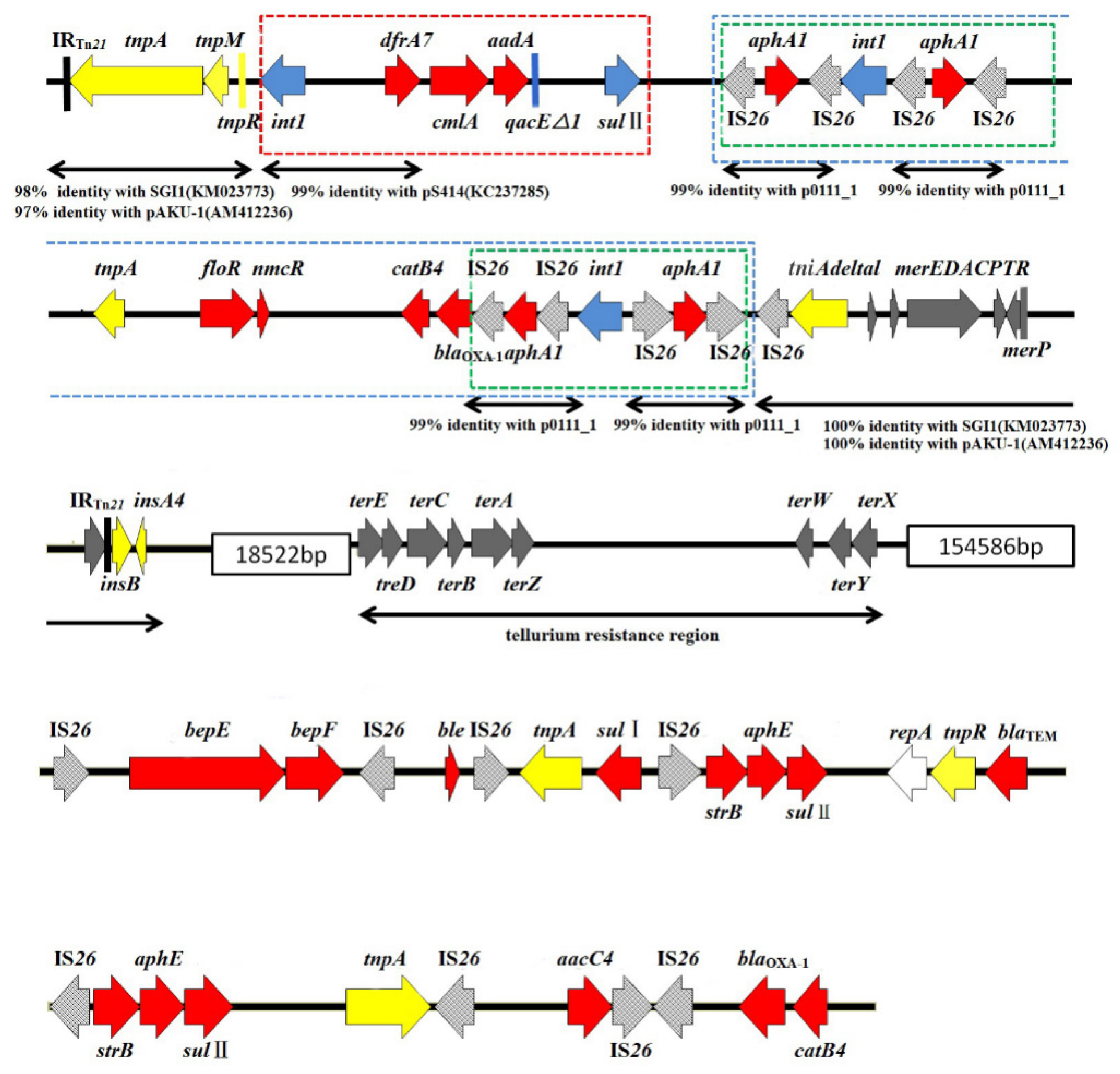 Microorganisms 07 00248 g001