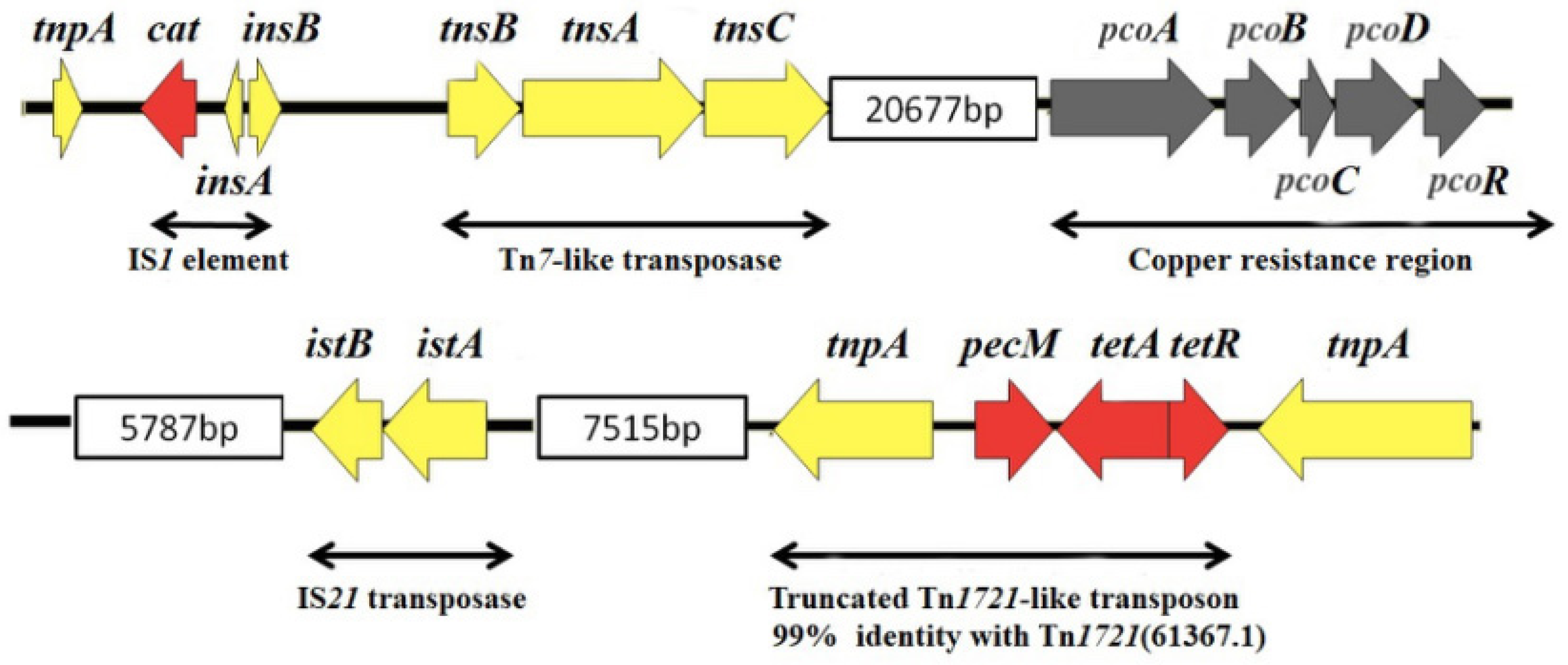 Microorganisms 07 00248 g002