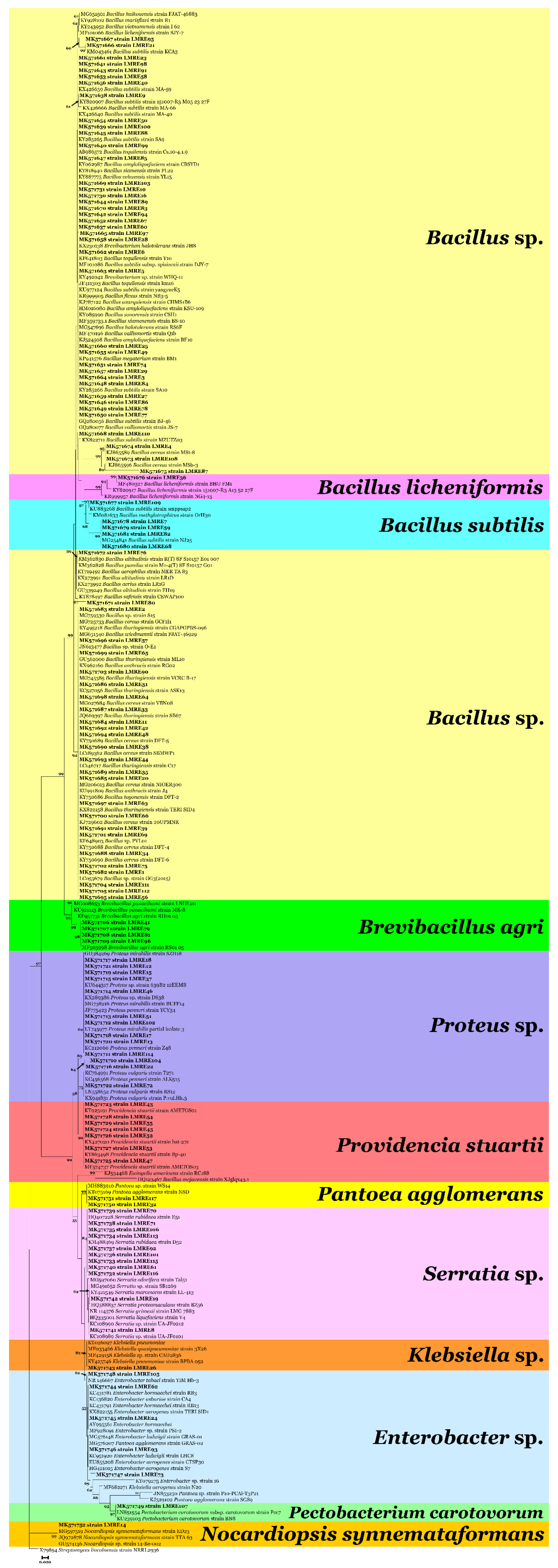 Microorganisms 07 00249 g001