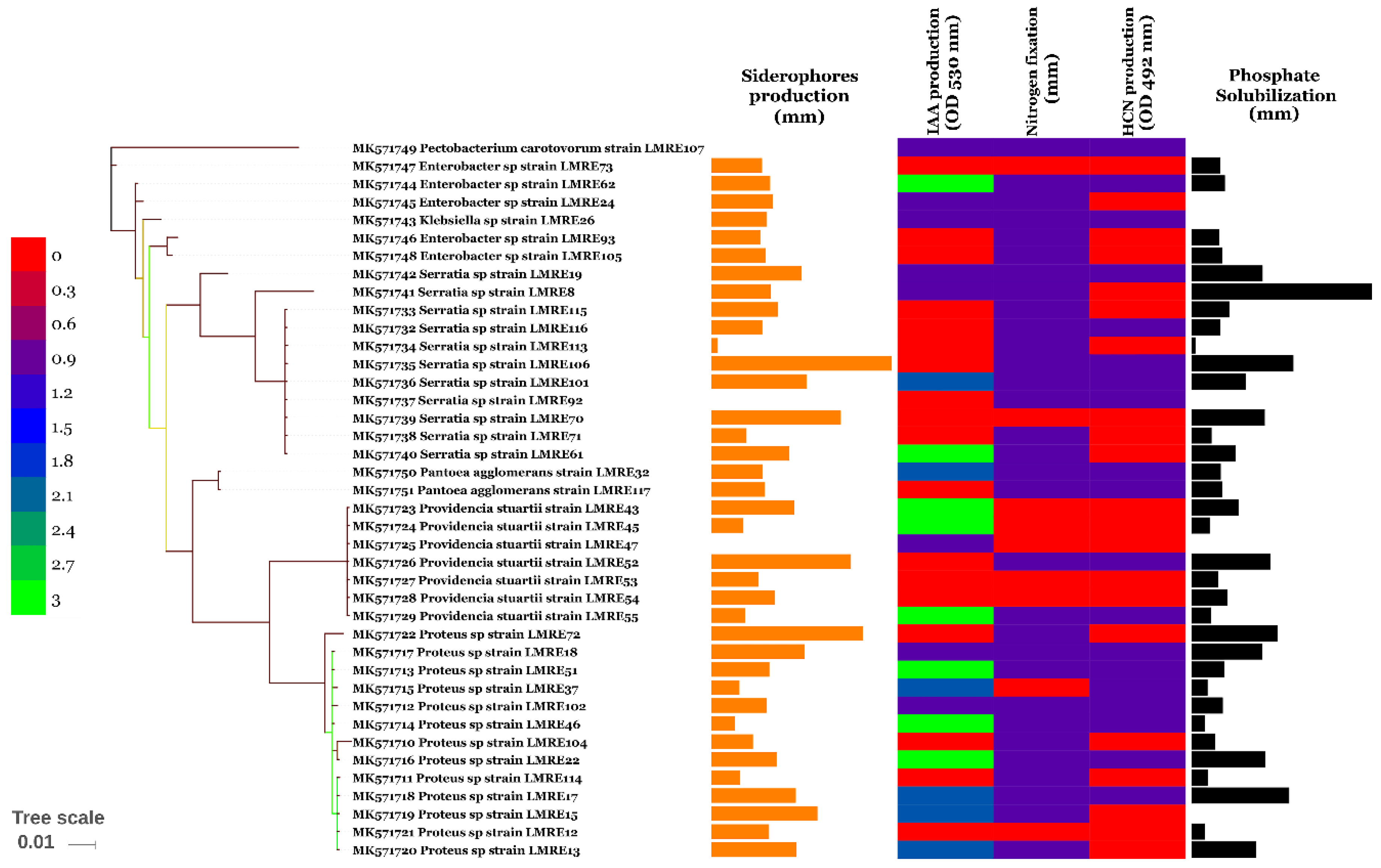 Microorganisms 07 00249 g003