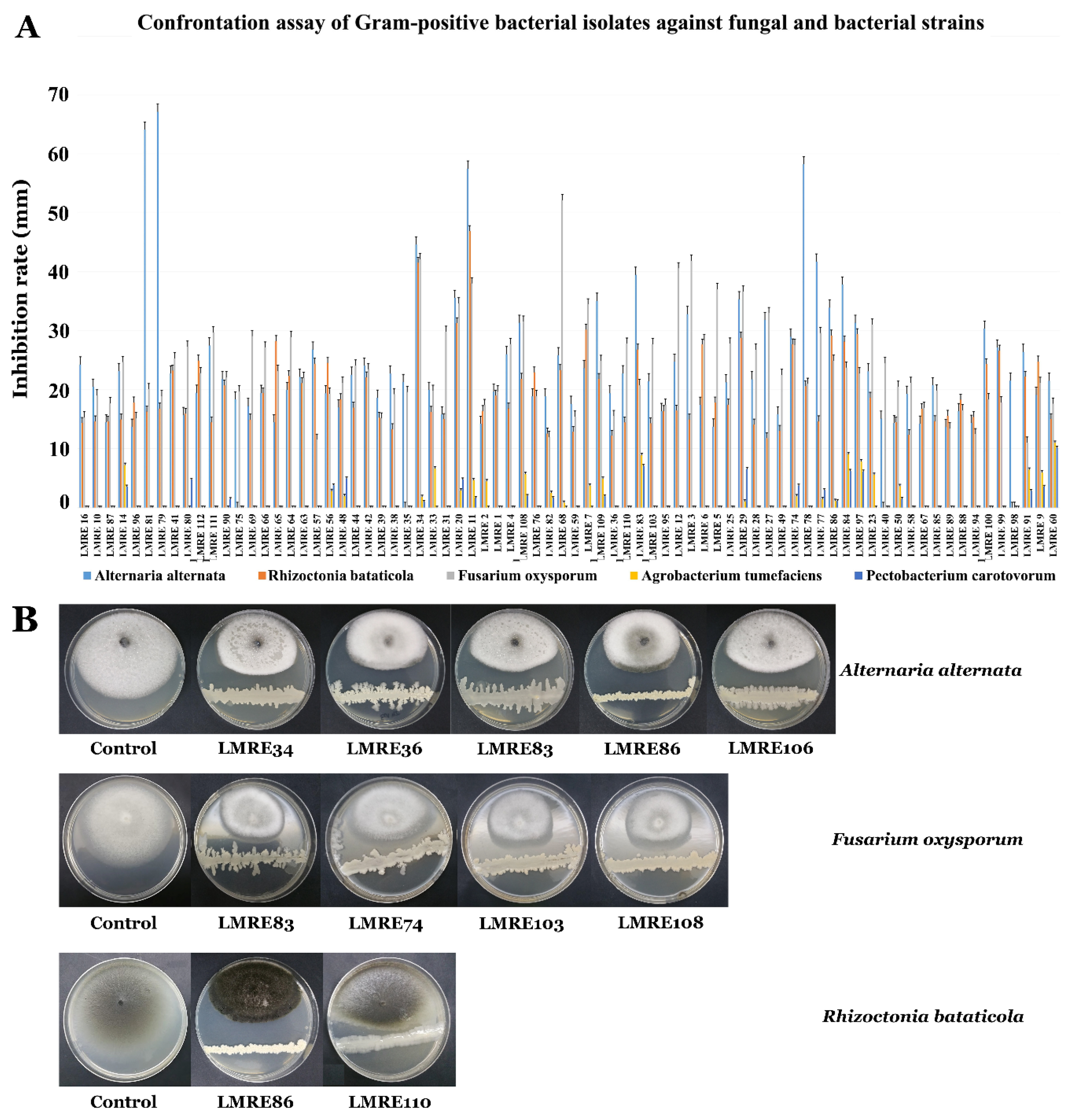 Microorganisms 07 00249 g006