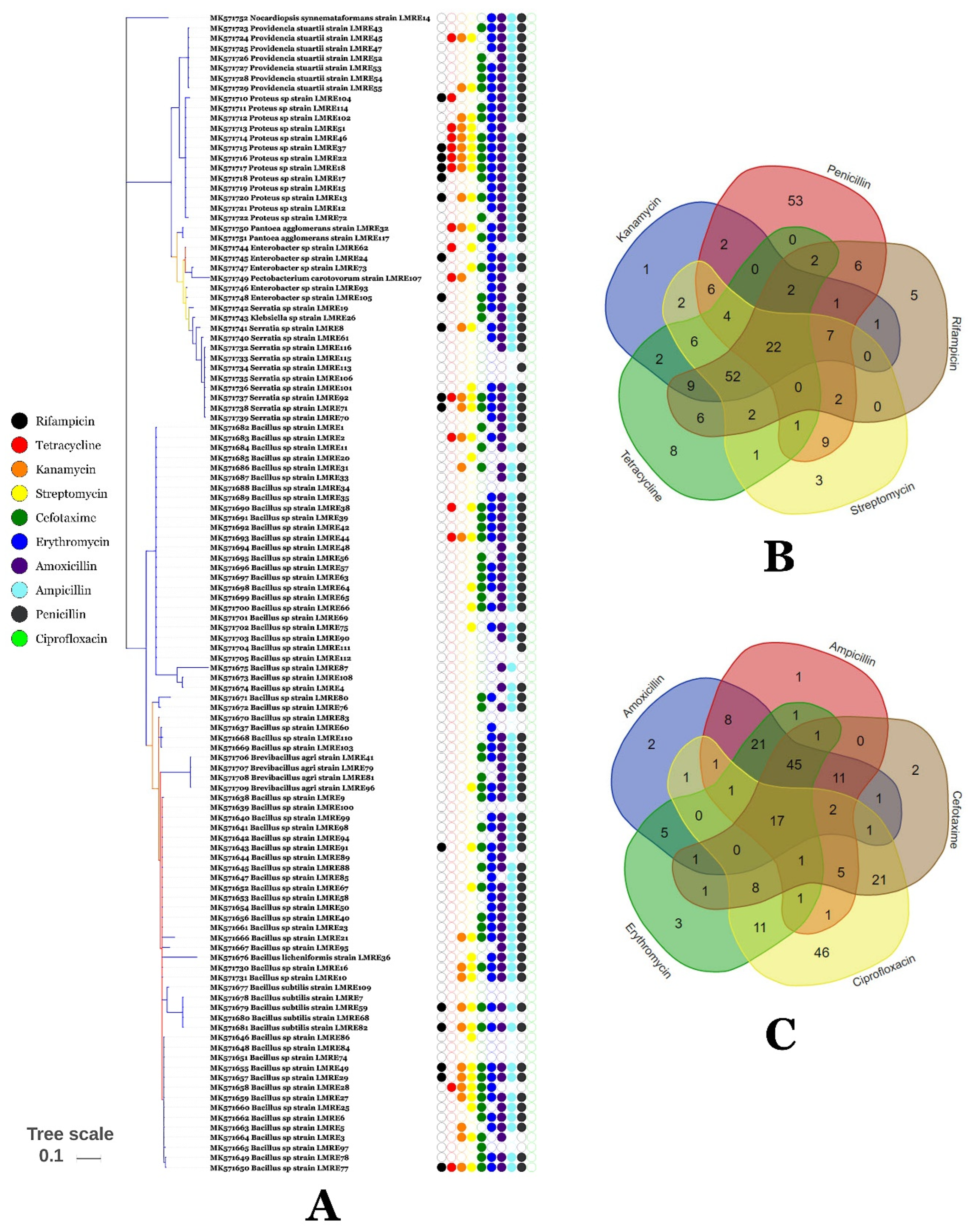Microorganisms 07 00249 g008