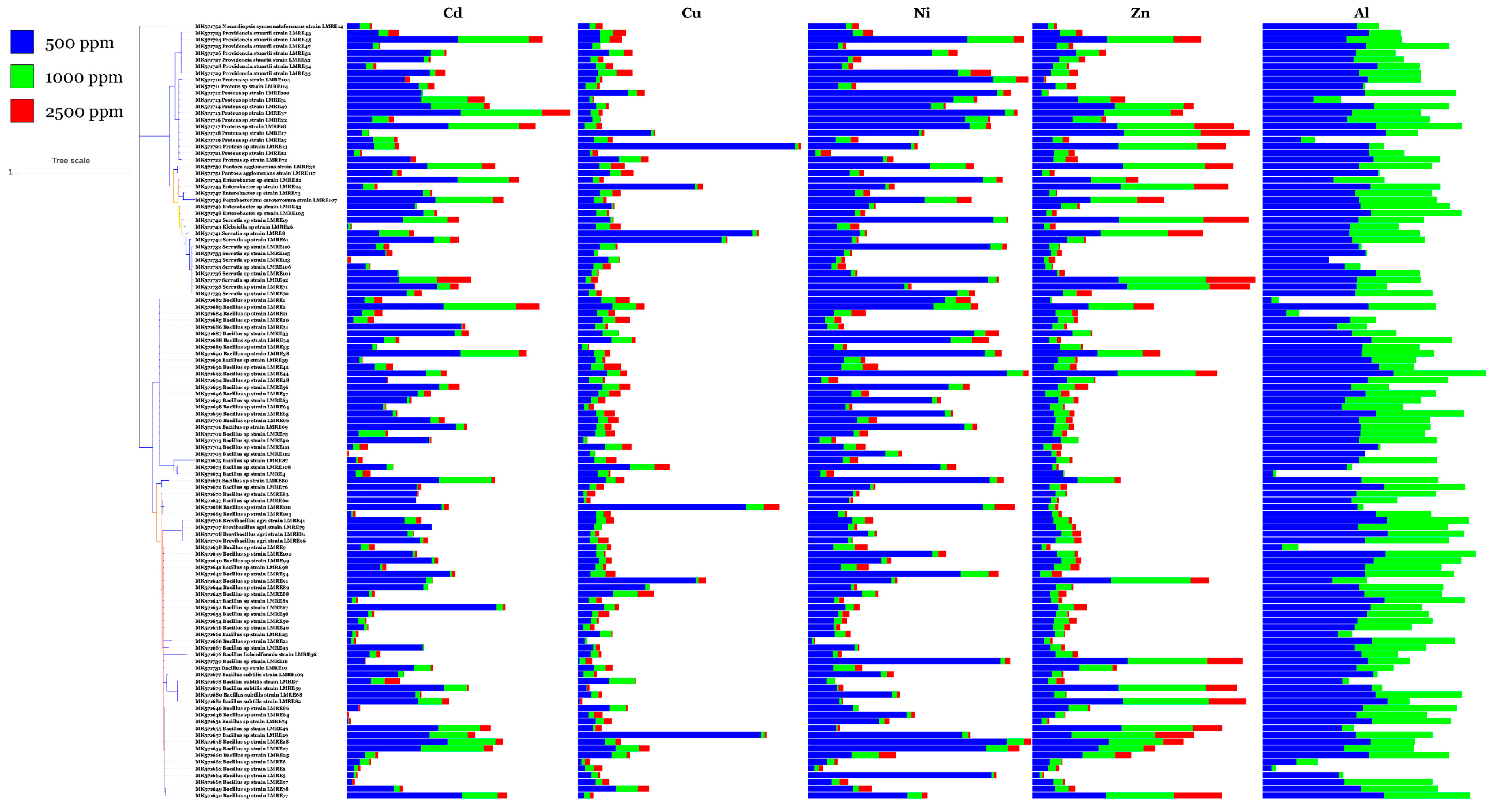 Microorganisms 07 00249 g009