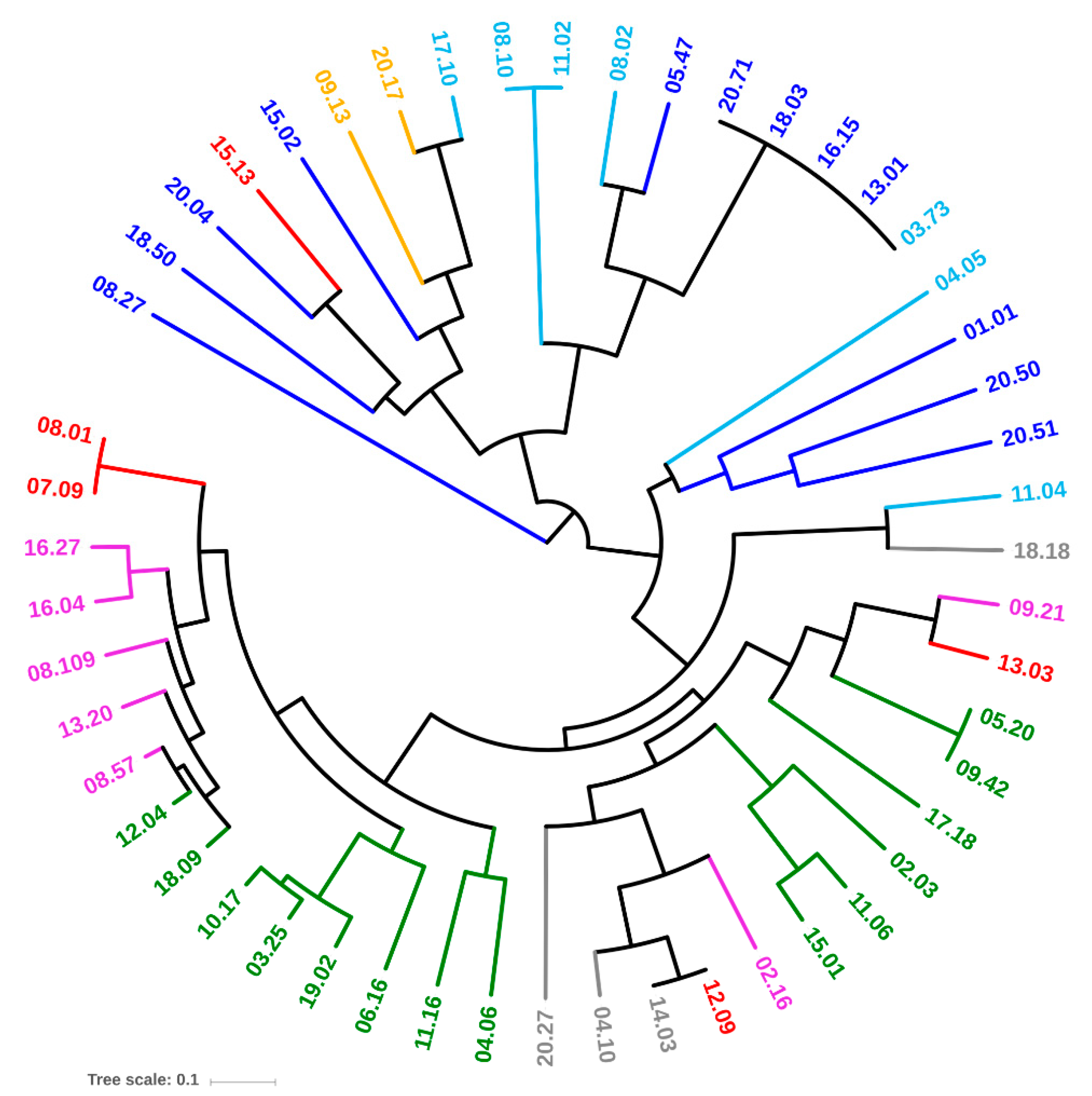 Microorganisms 07 00251 g004