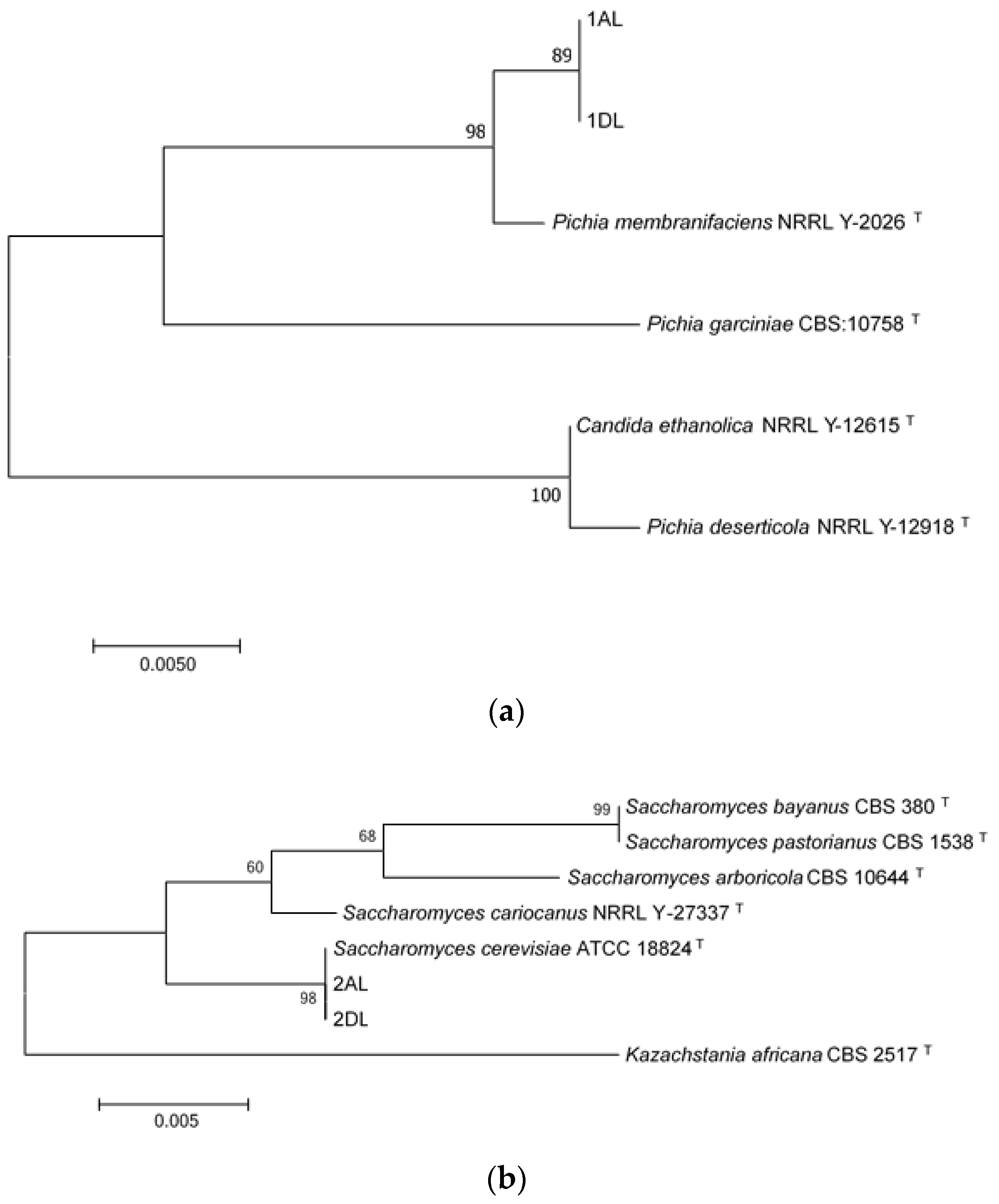 Microorganisms 07 00253 g005