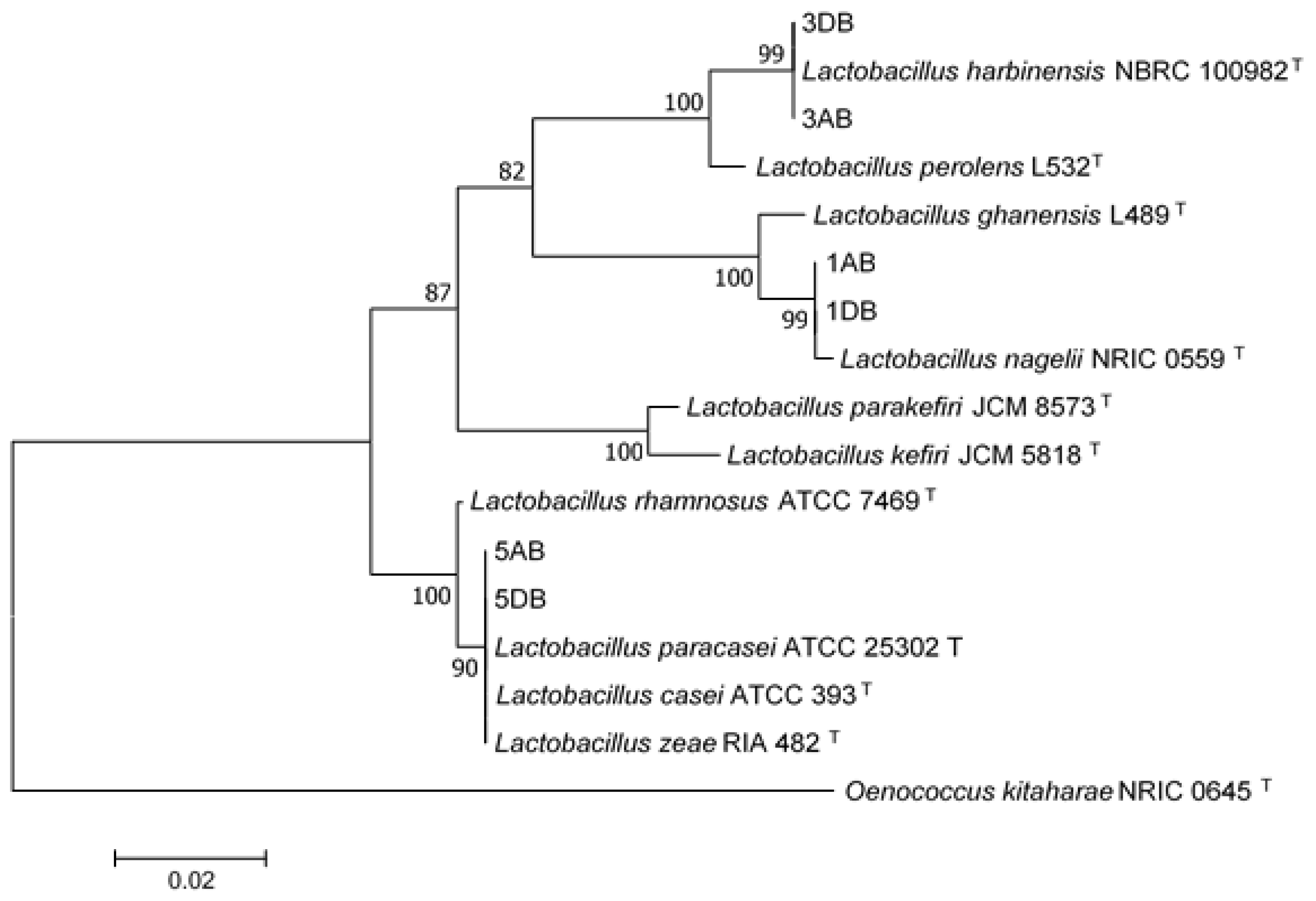 Microorganisms 07 00253 g006