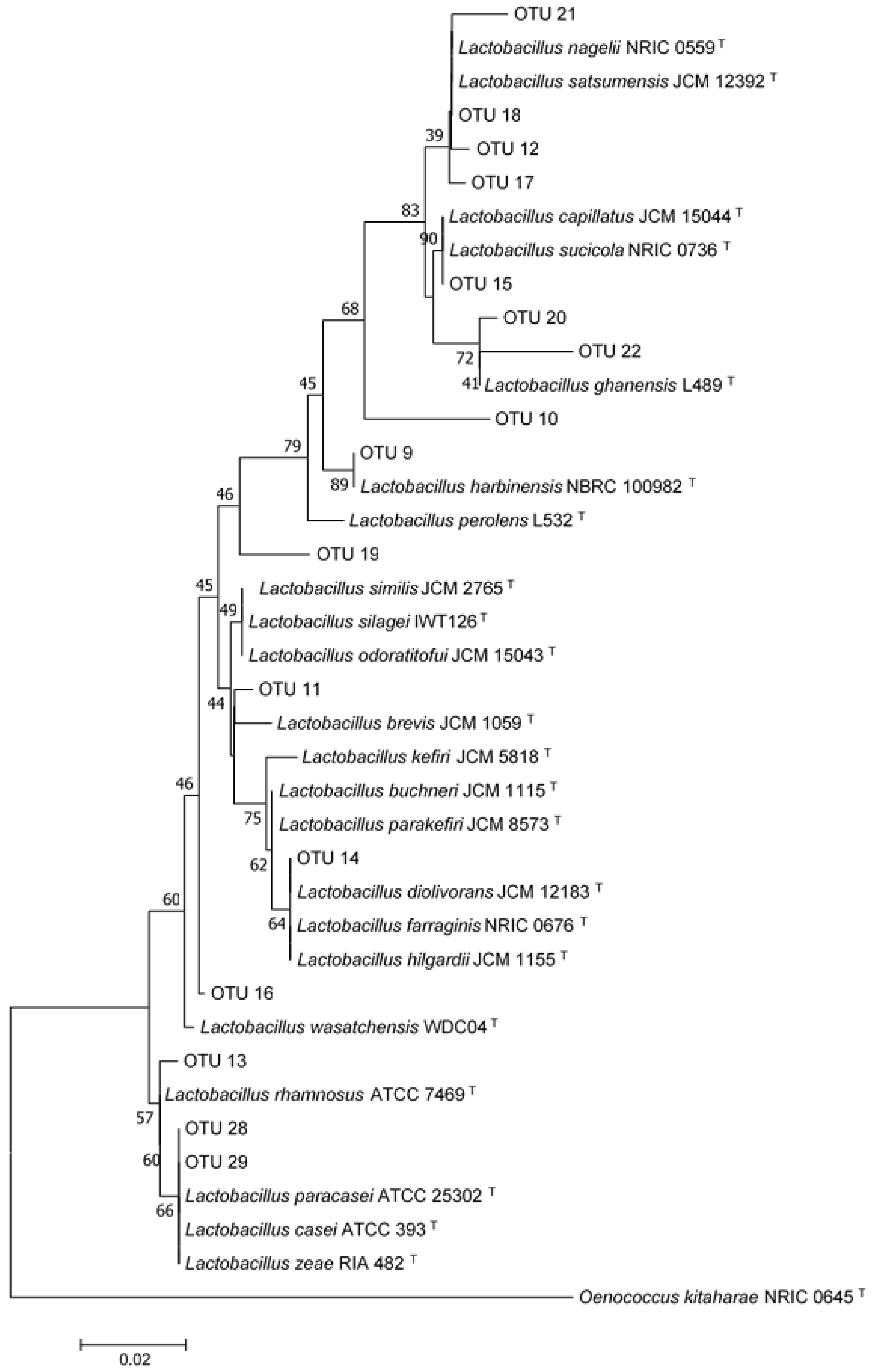 Microorganisms 07 00253 g009