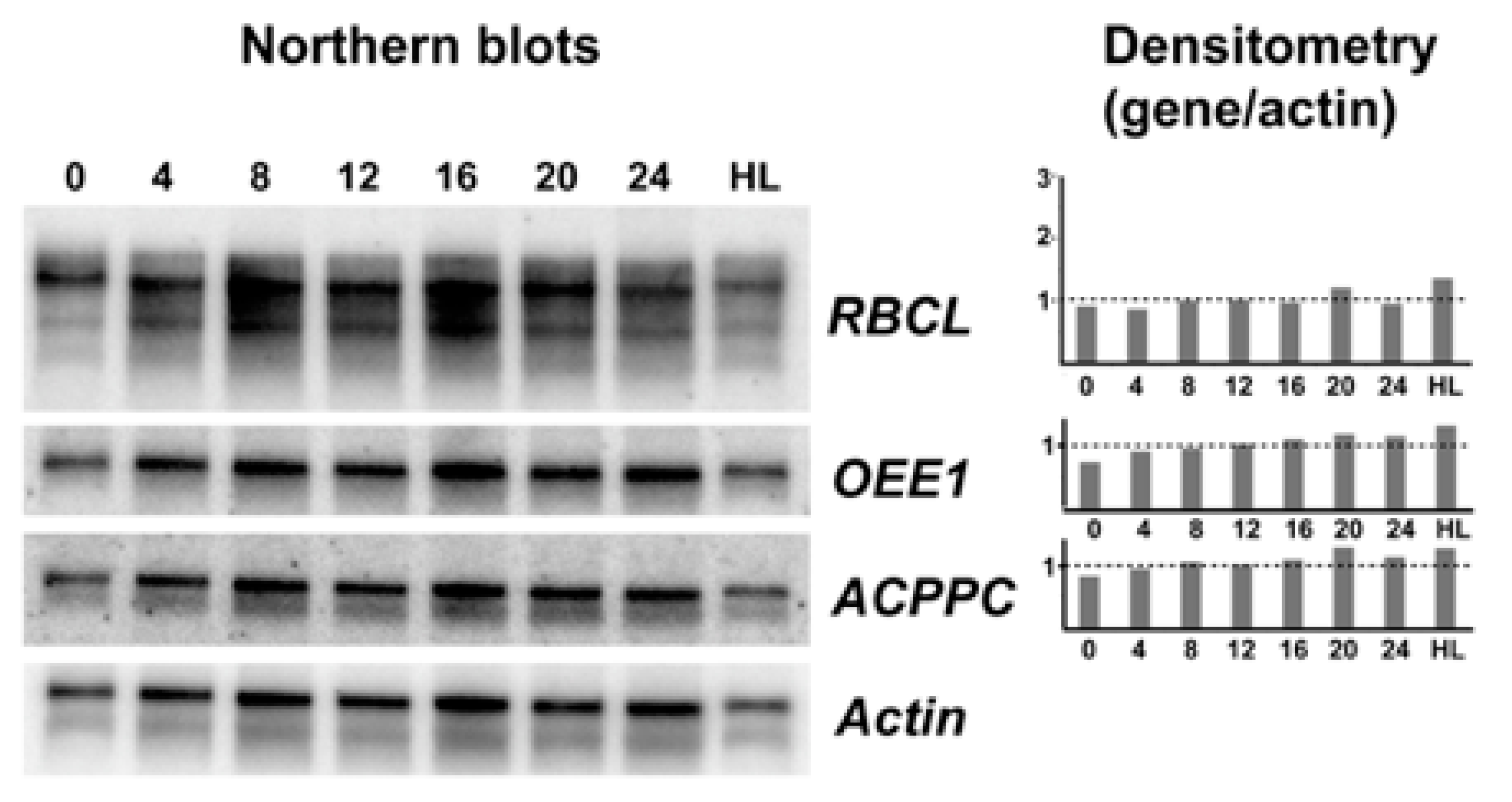 Microorganisms 07 00261 g002