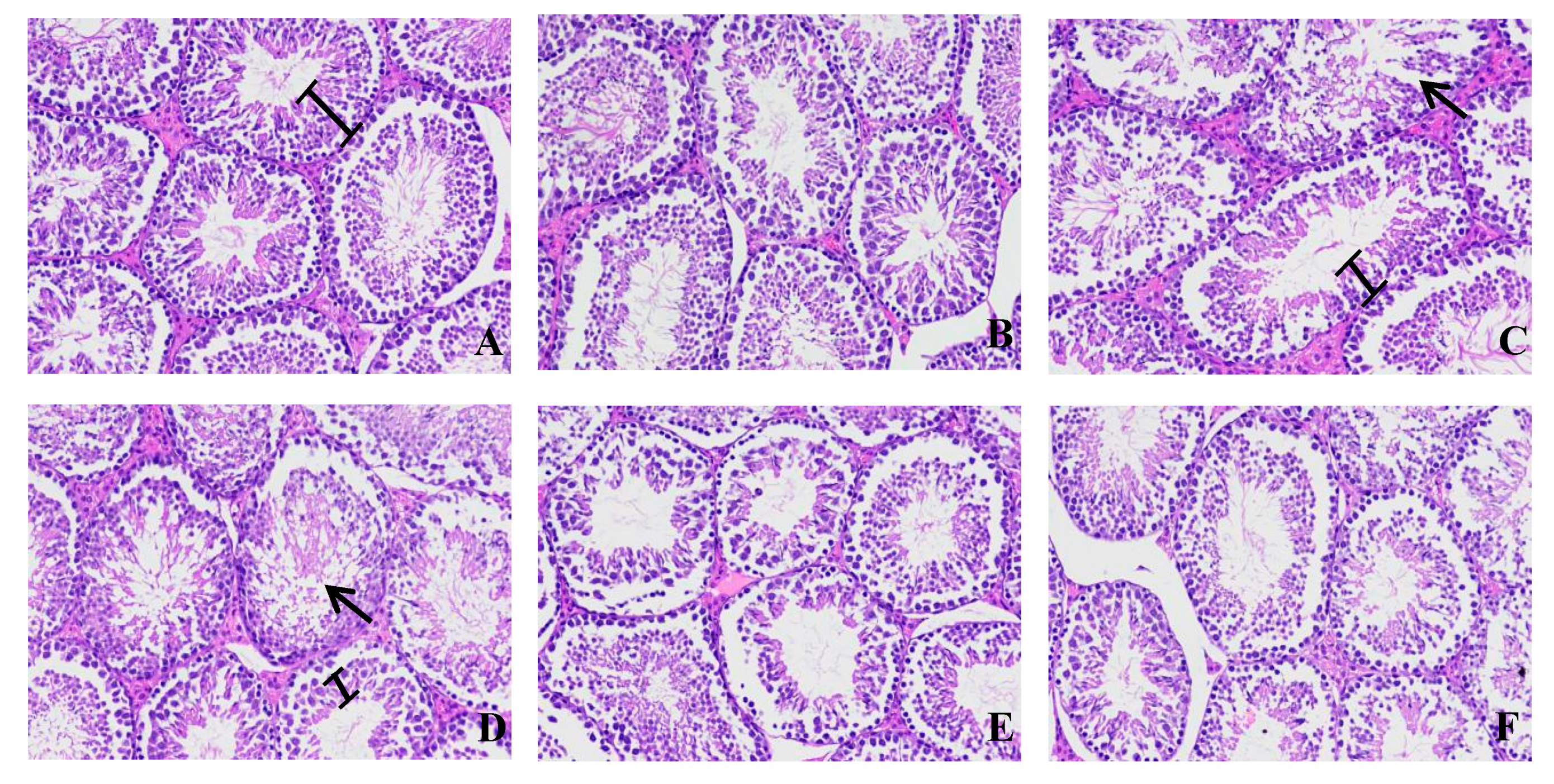 Microorganisms 07 00266 g006