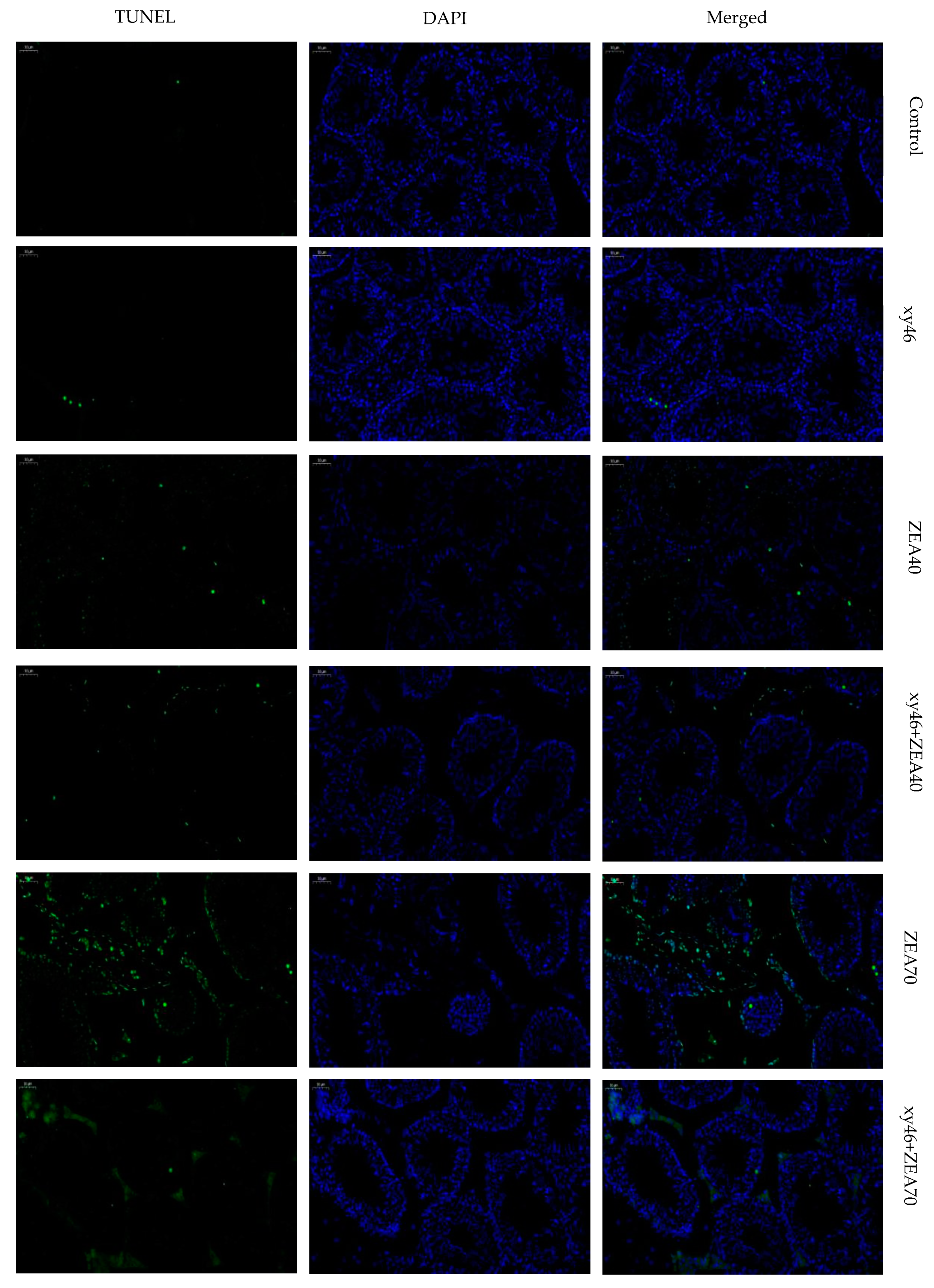 Microorganisms 07 00266 g009