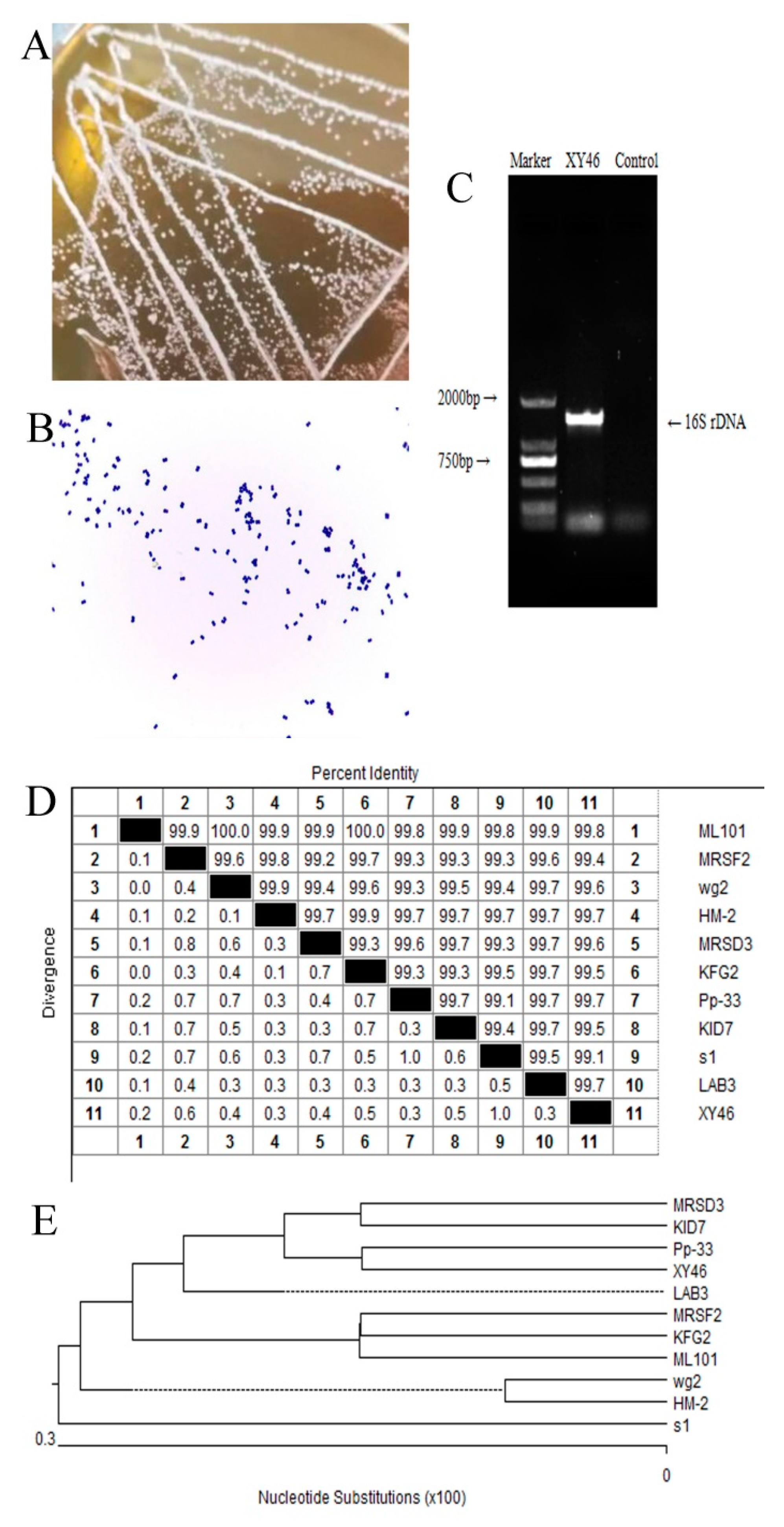 Microorganisms 07 00266 g0a1