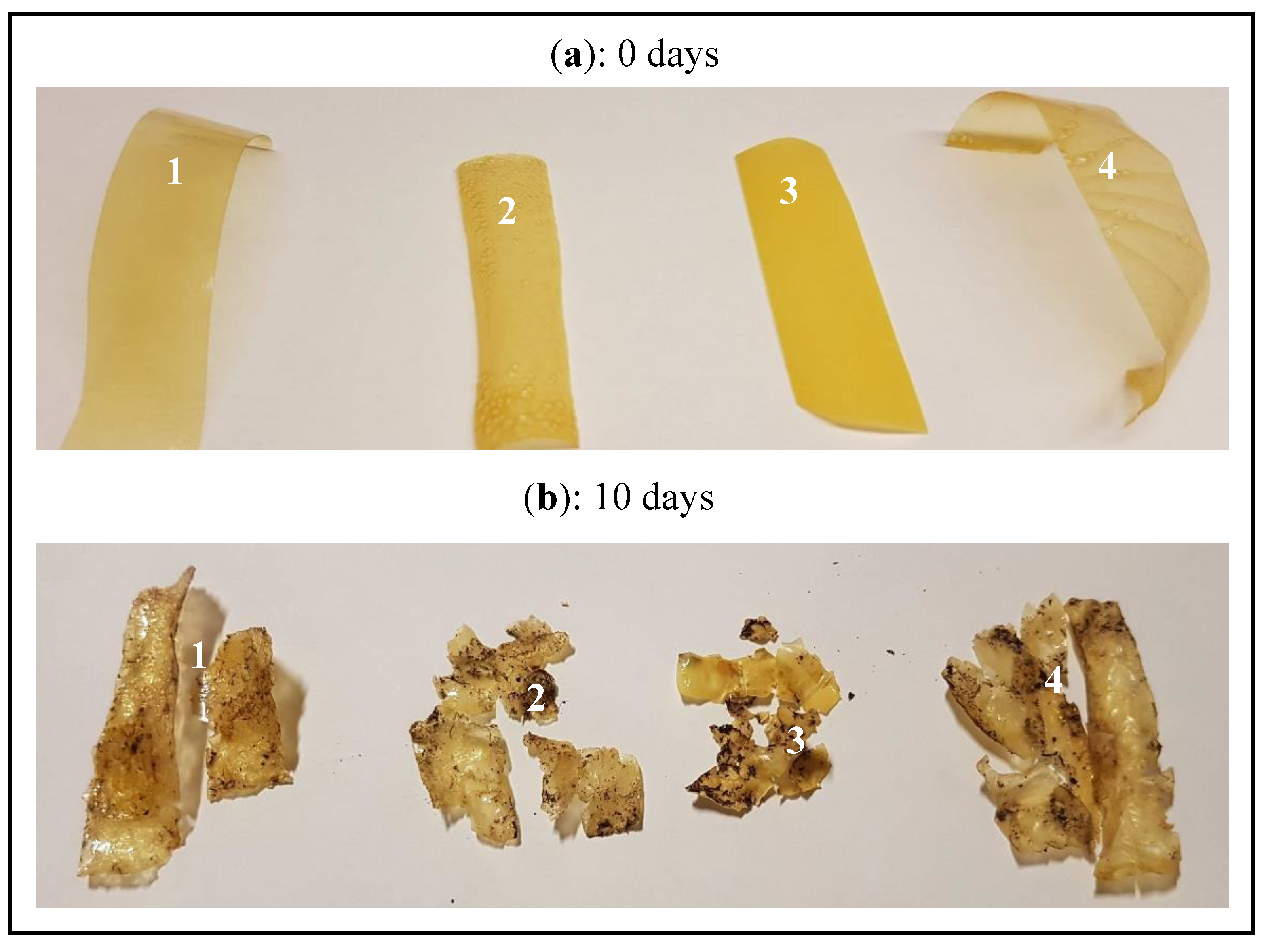 Microorganisms 07 00267 g005