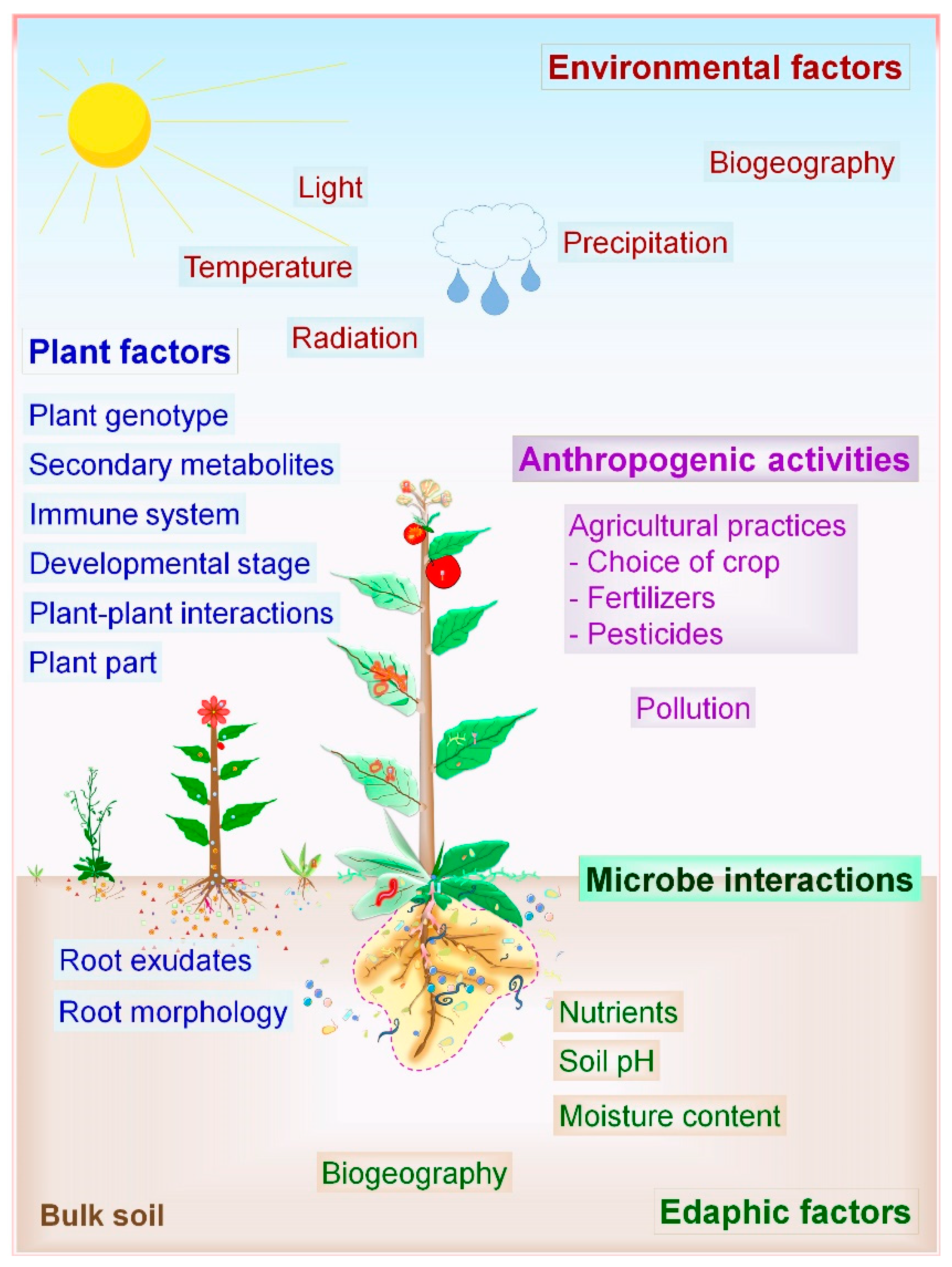 Microorganisms 07 00269 g002