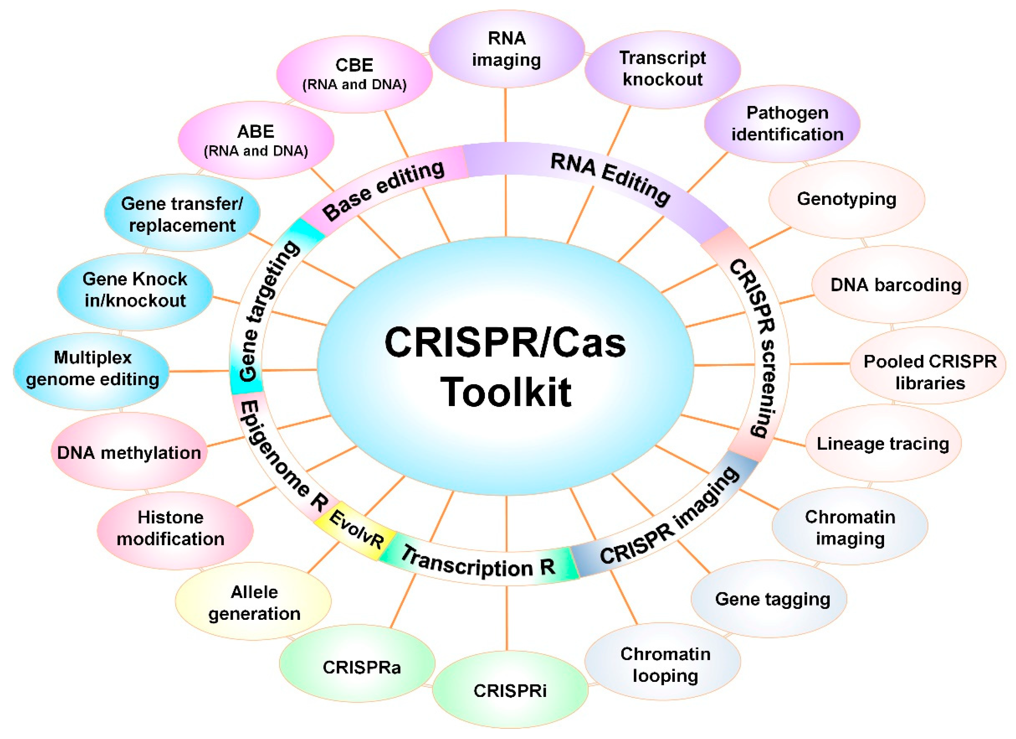 Microorganisms 07 00269 g005