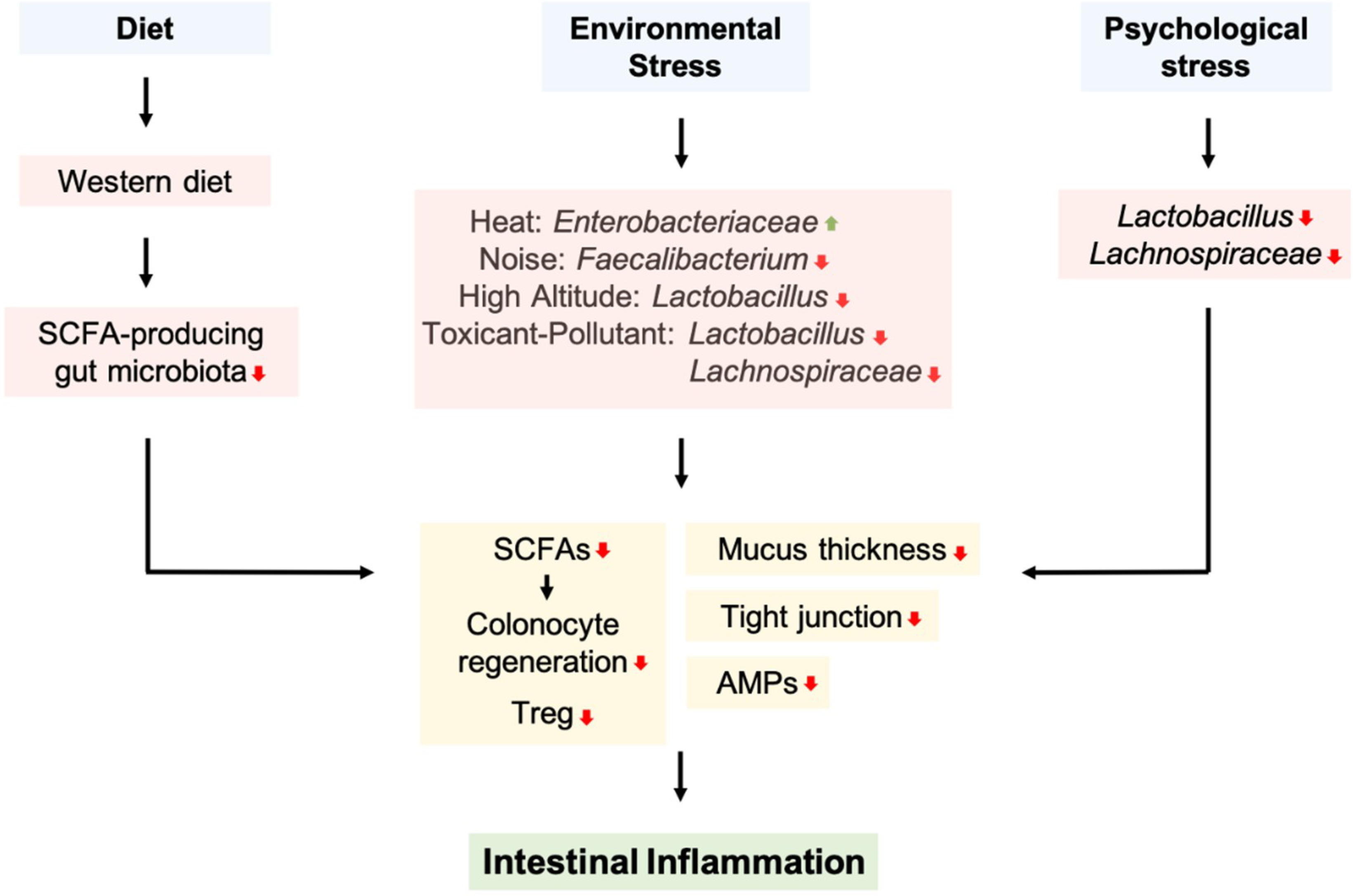Microorganisms 07 00271 g003