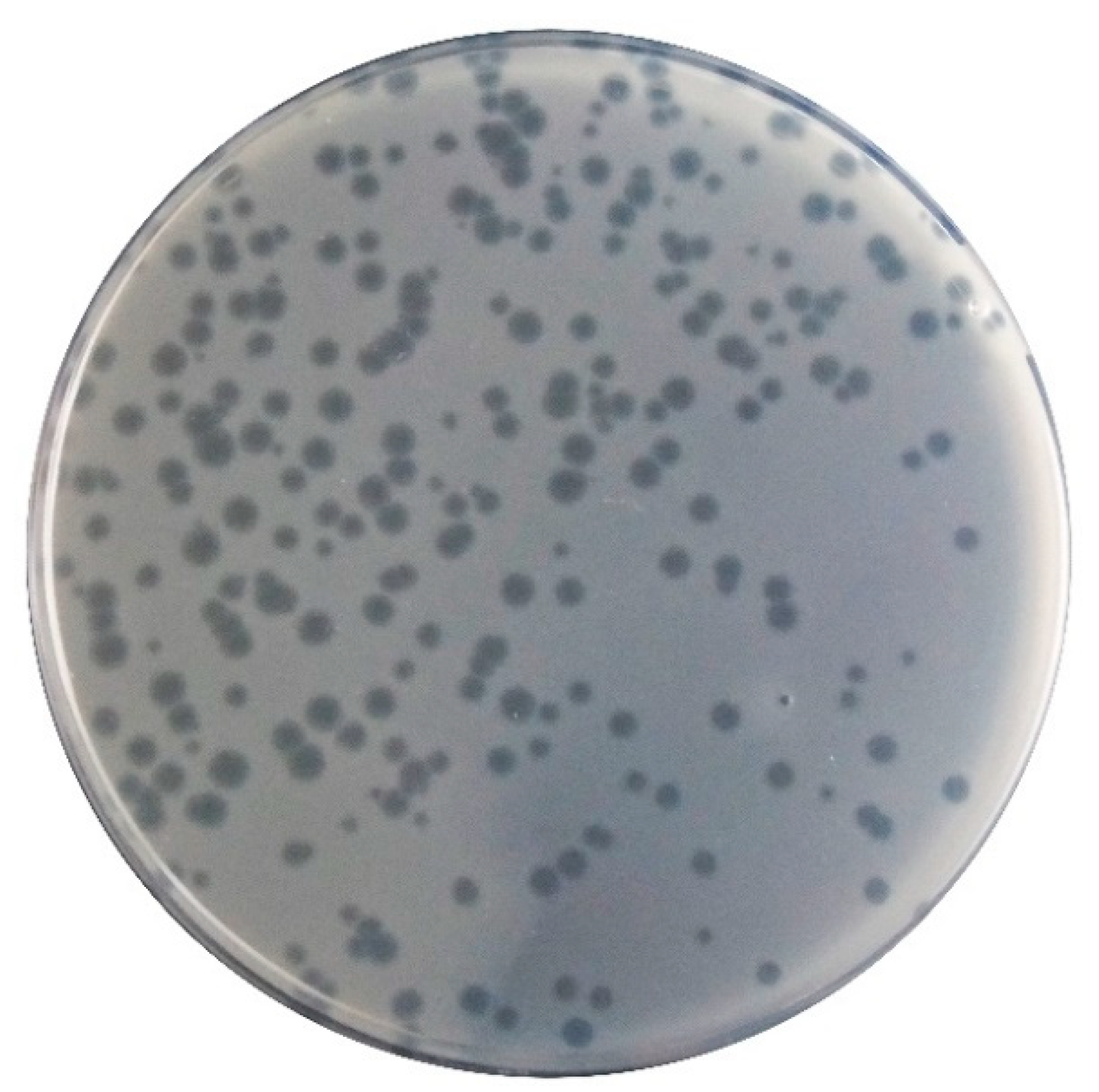 Microorganisms 07 00286 g002
