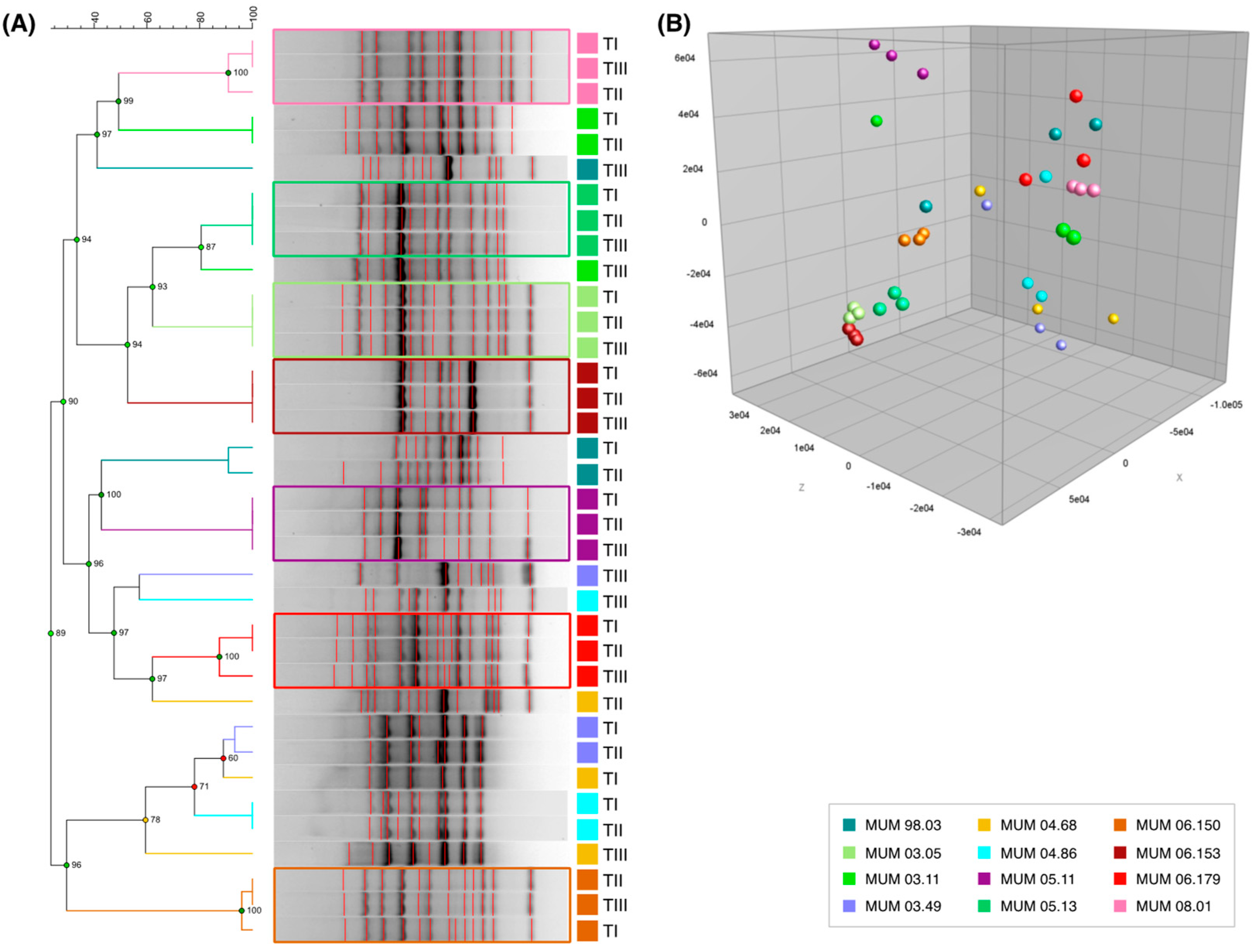 Microorganisms 07 00291 g004