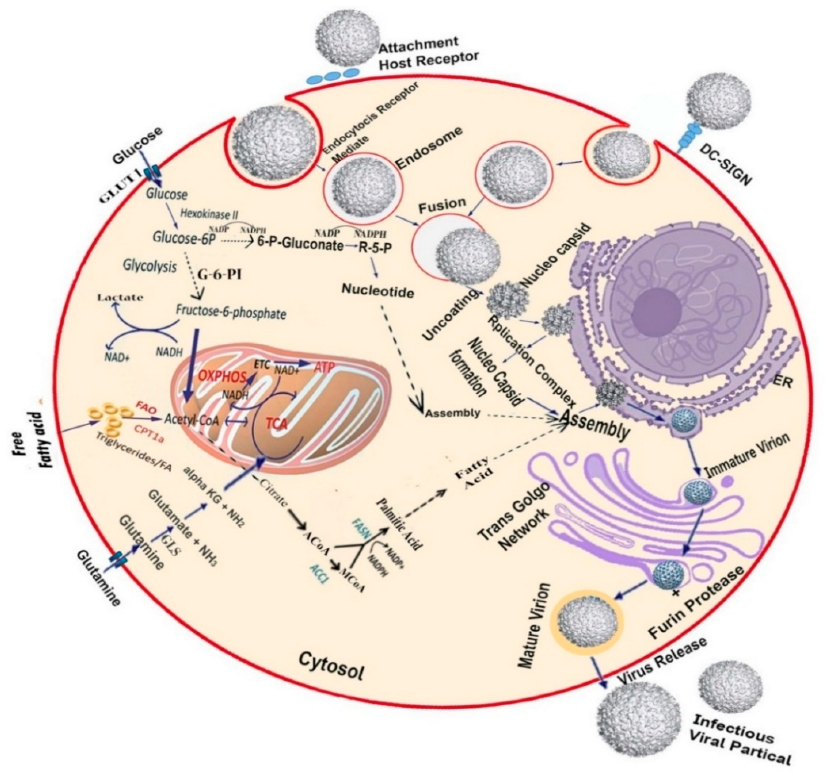 Microorganisms 07 00296 g002