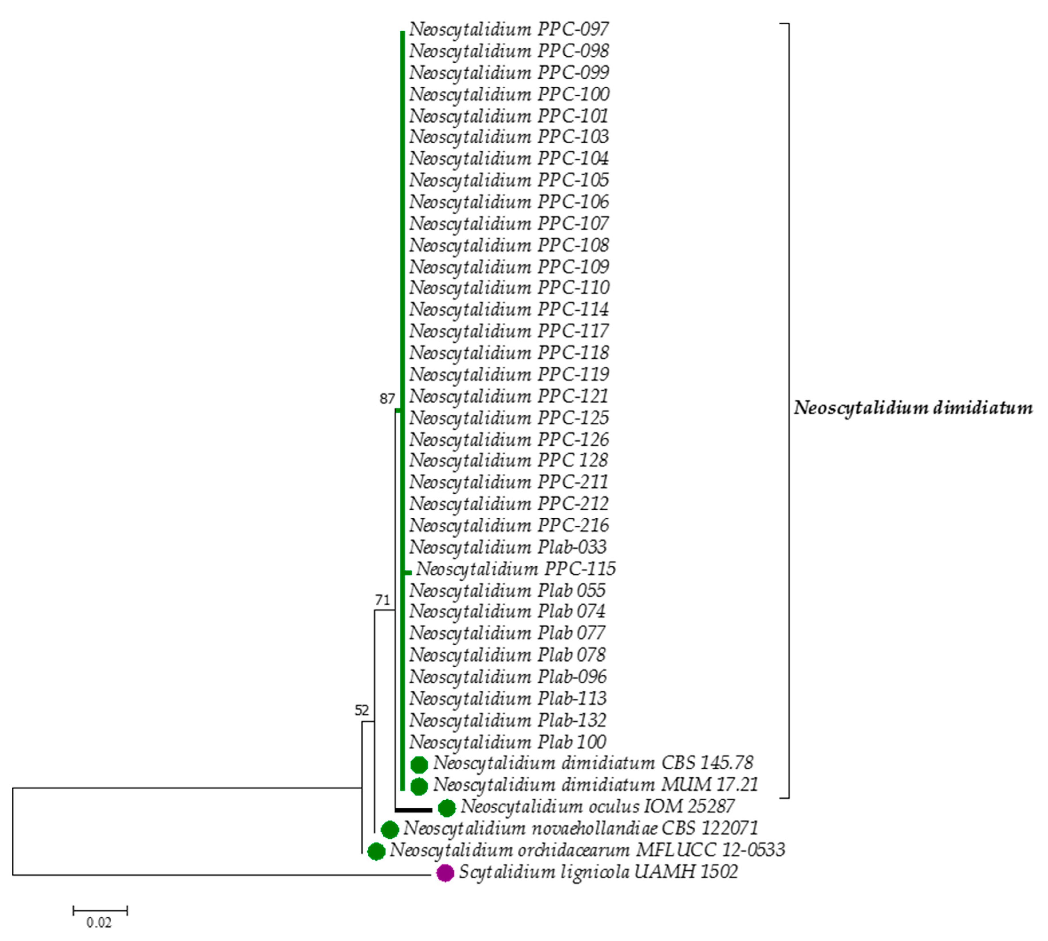 Microorganisms 07 00306 g001