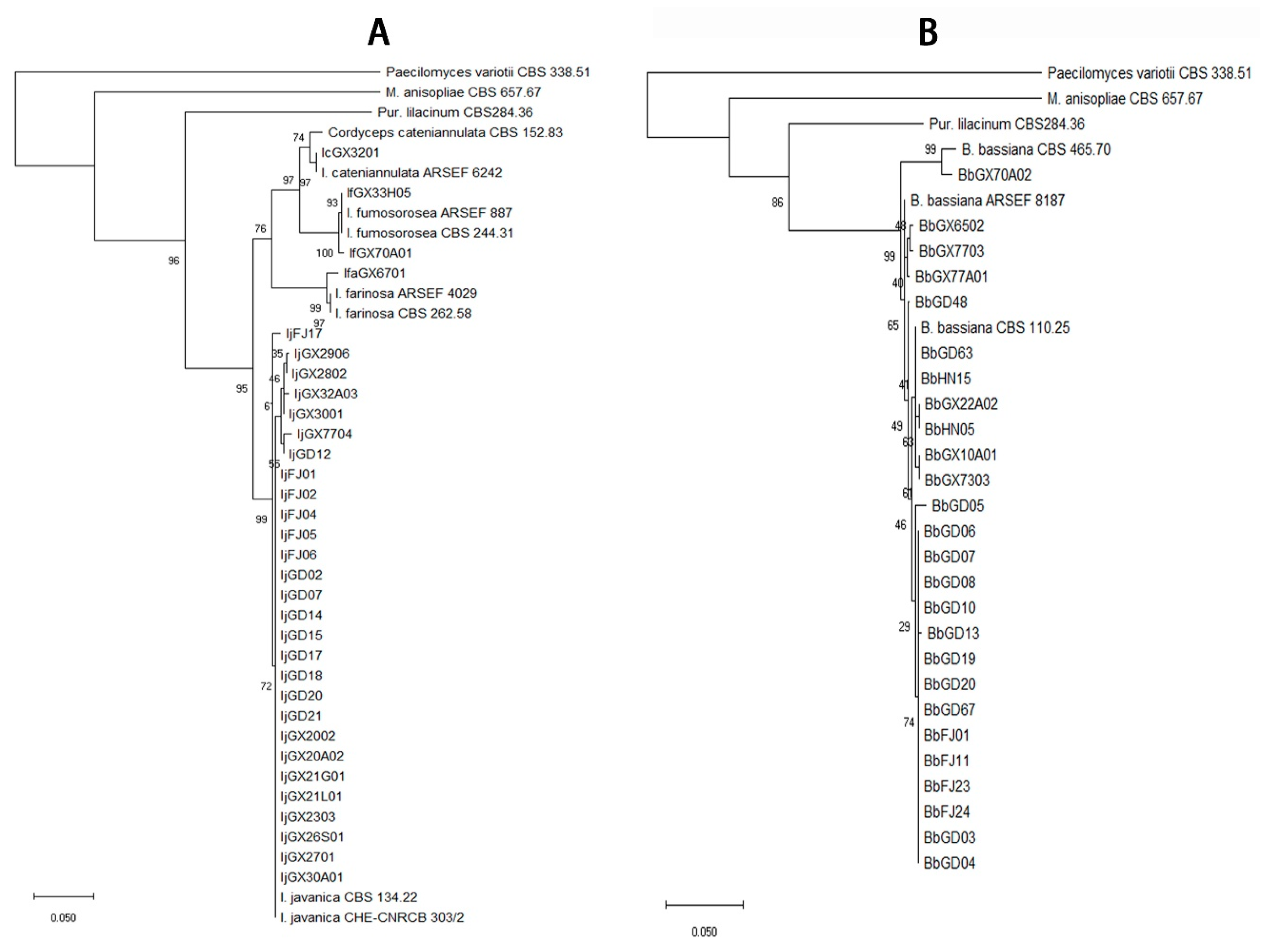 Microorganisms 07 00311 g003