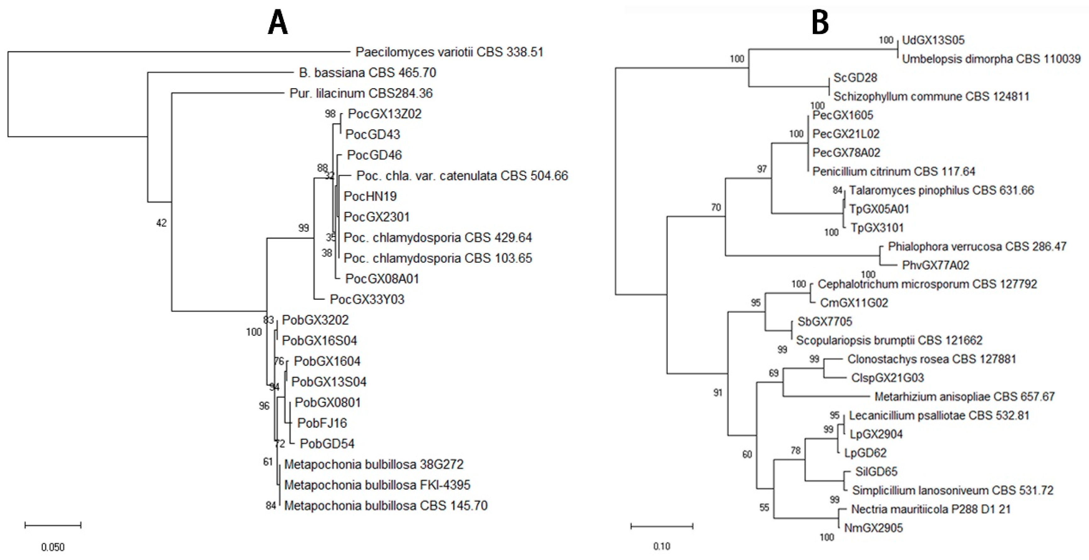 Microorganisms 07 00311 g004