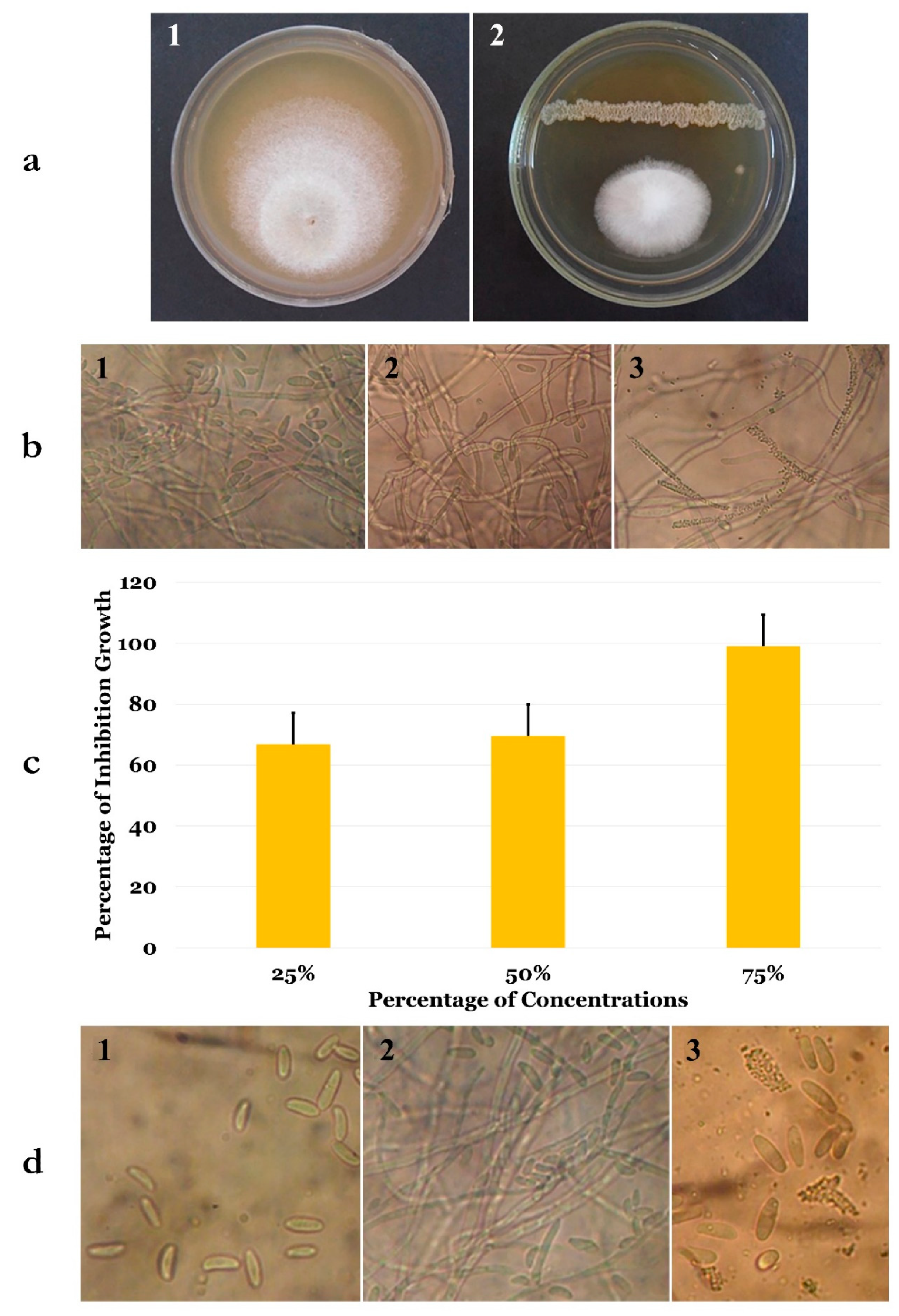 Microorganisms 07 00314 g002