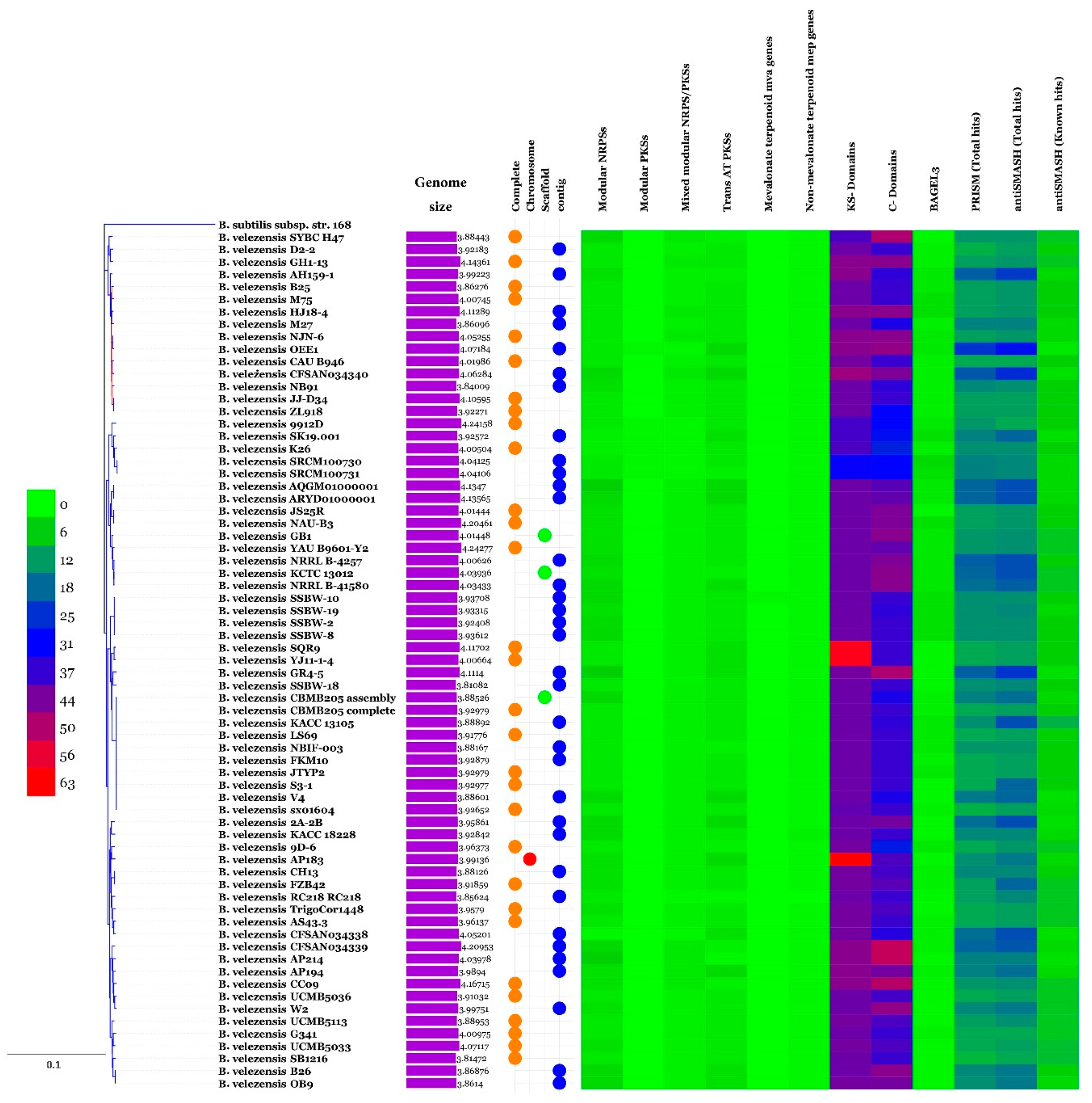 Microorganisms 07 00314 g005