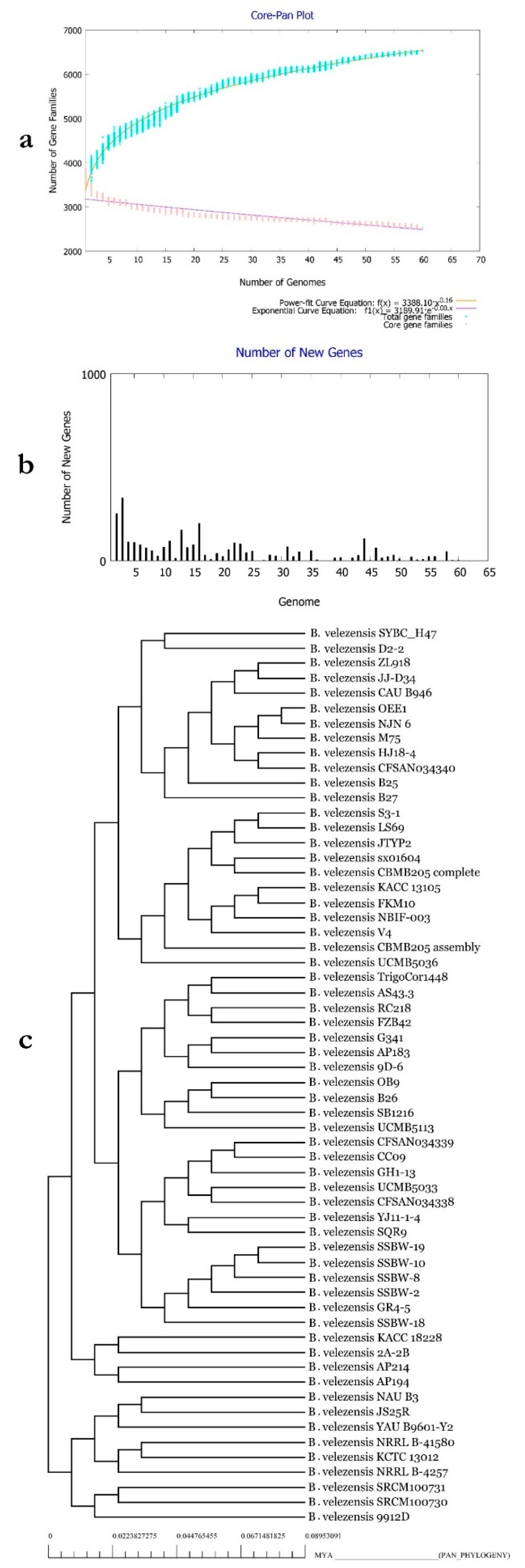 Microorganisms 07 00314 g007