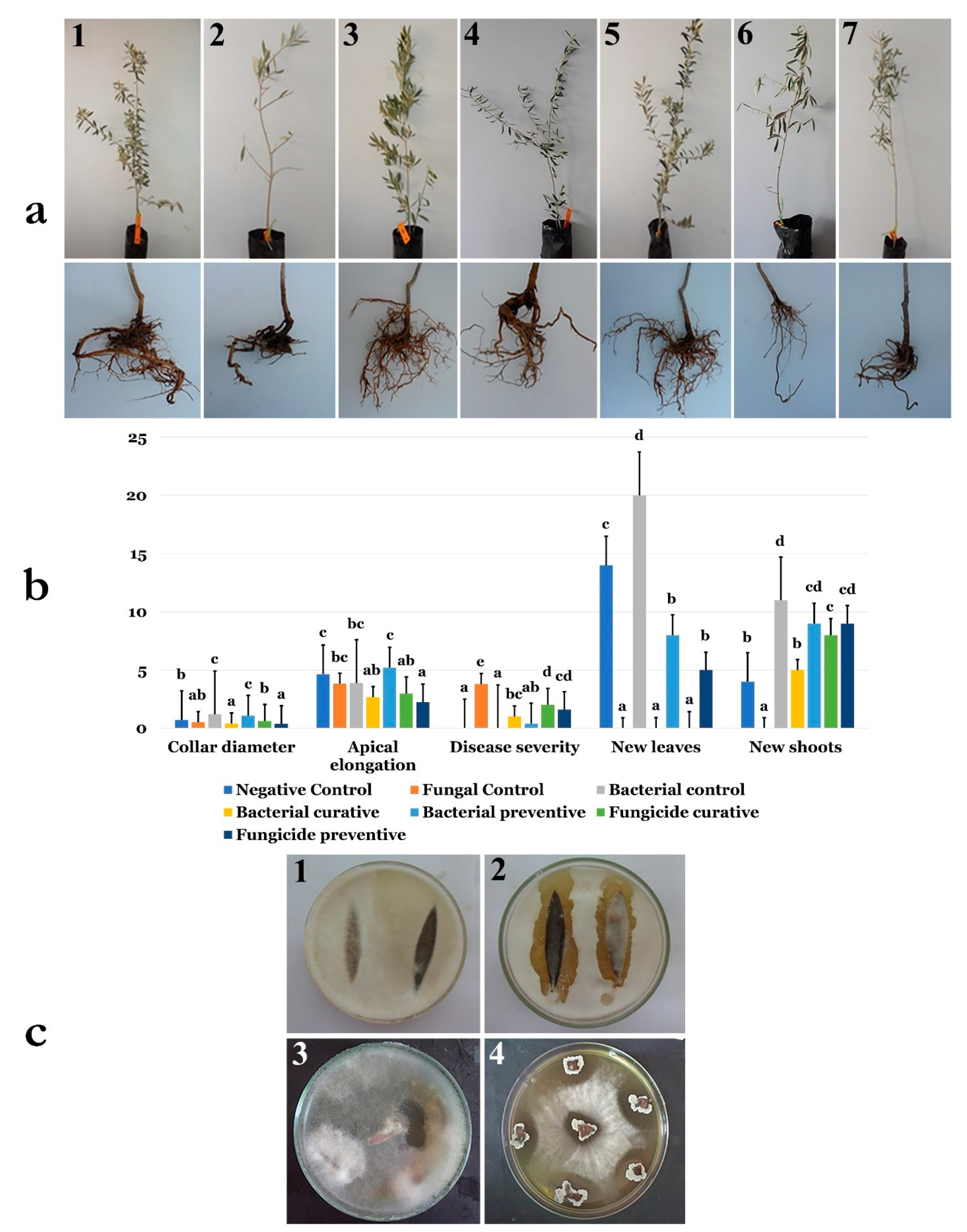 Microorganisms 07 00314 g009