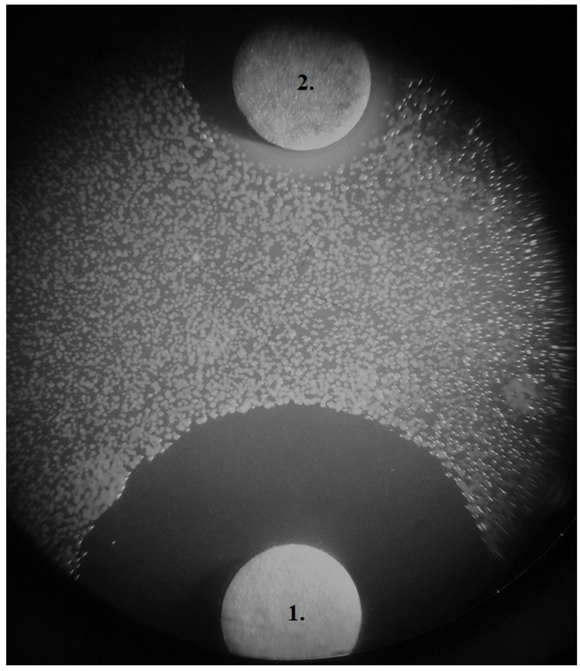 Microorganisms 07 00331 g005