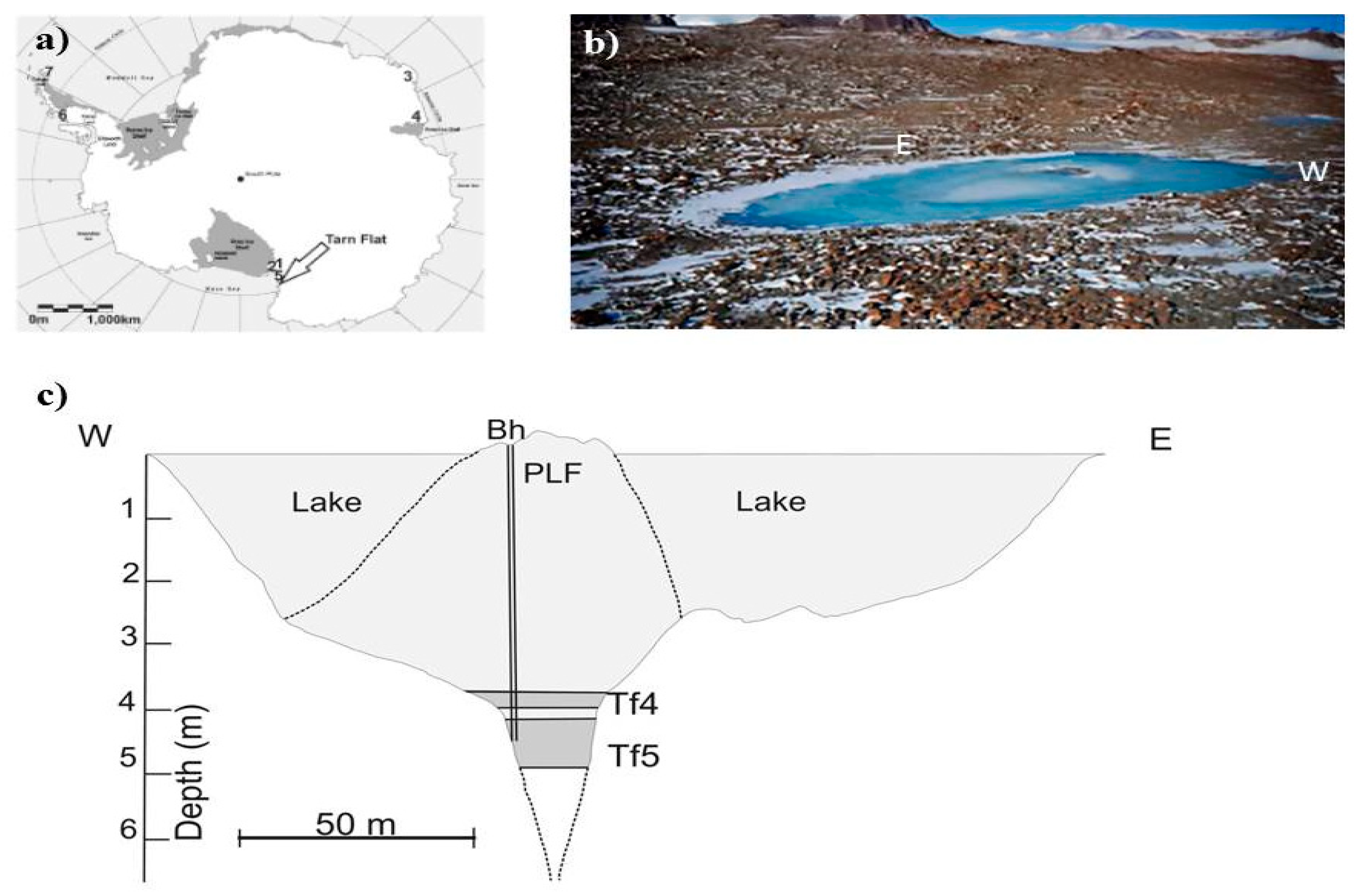 Microorganisms 07 00333 g001 Microorganisms 07 00333 g001