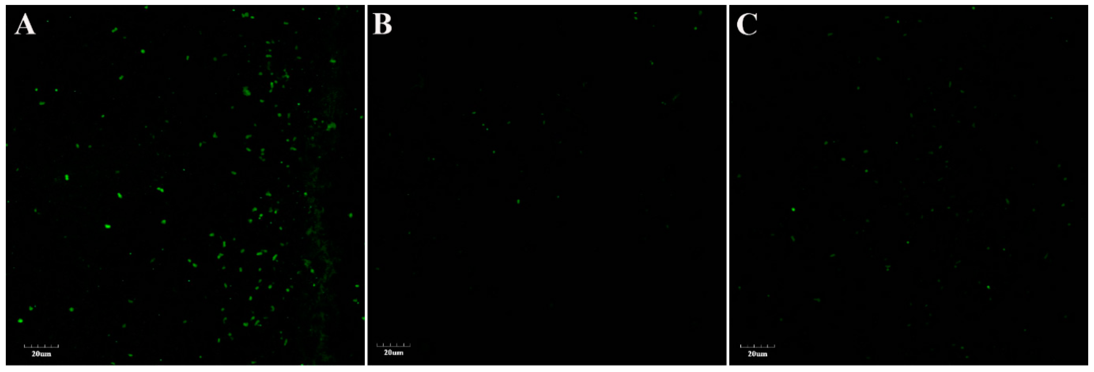 Microorganisms 07 00337 g004 Microorganisms 07 00337 g004