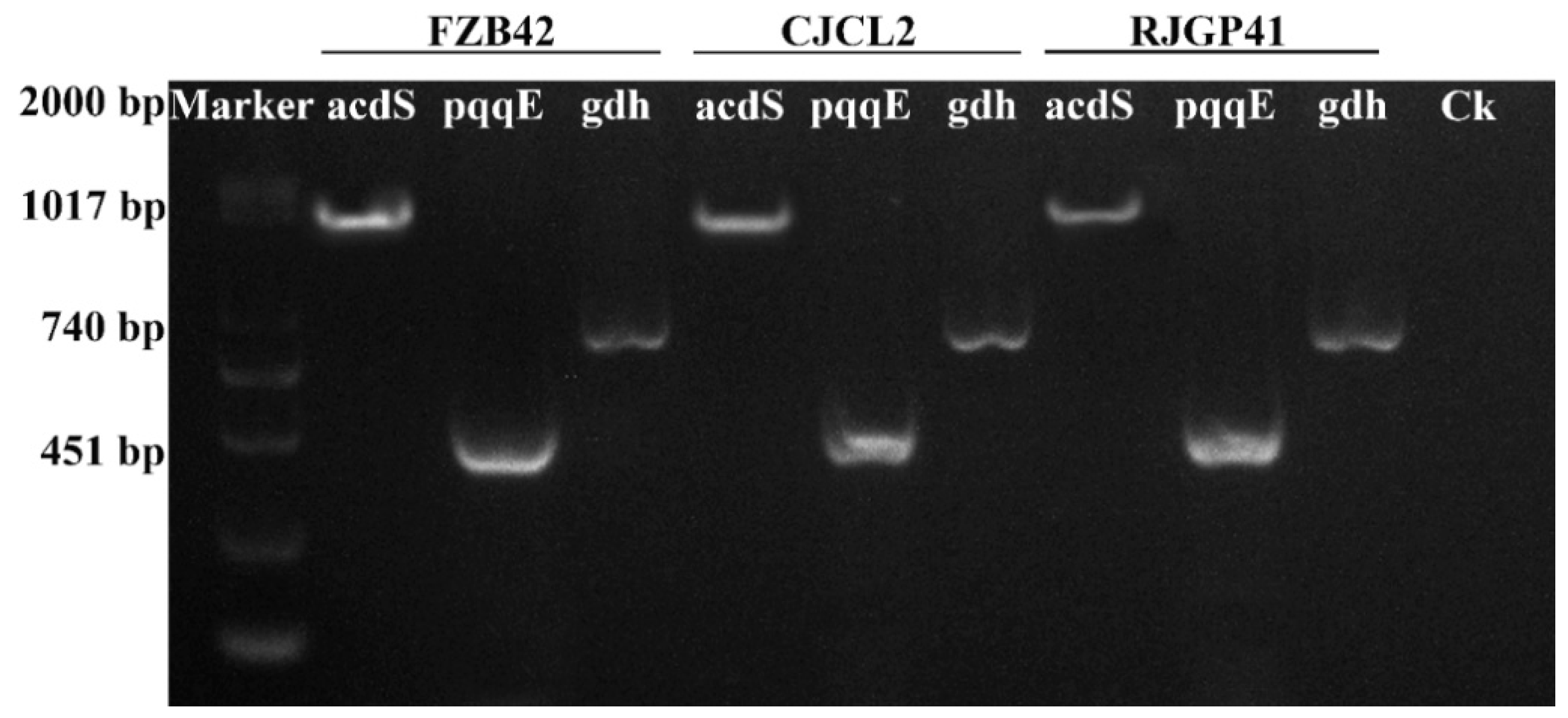 Microorganisms 07 00337 g006 Microorganisms 07 00337 g006