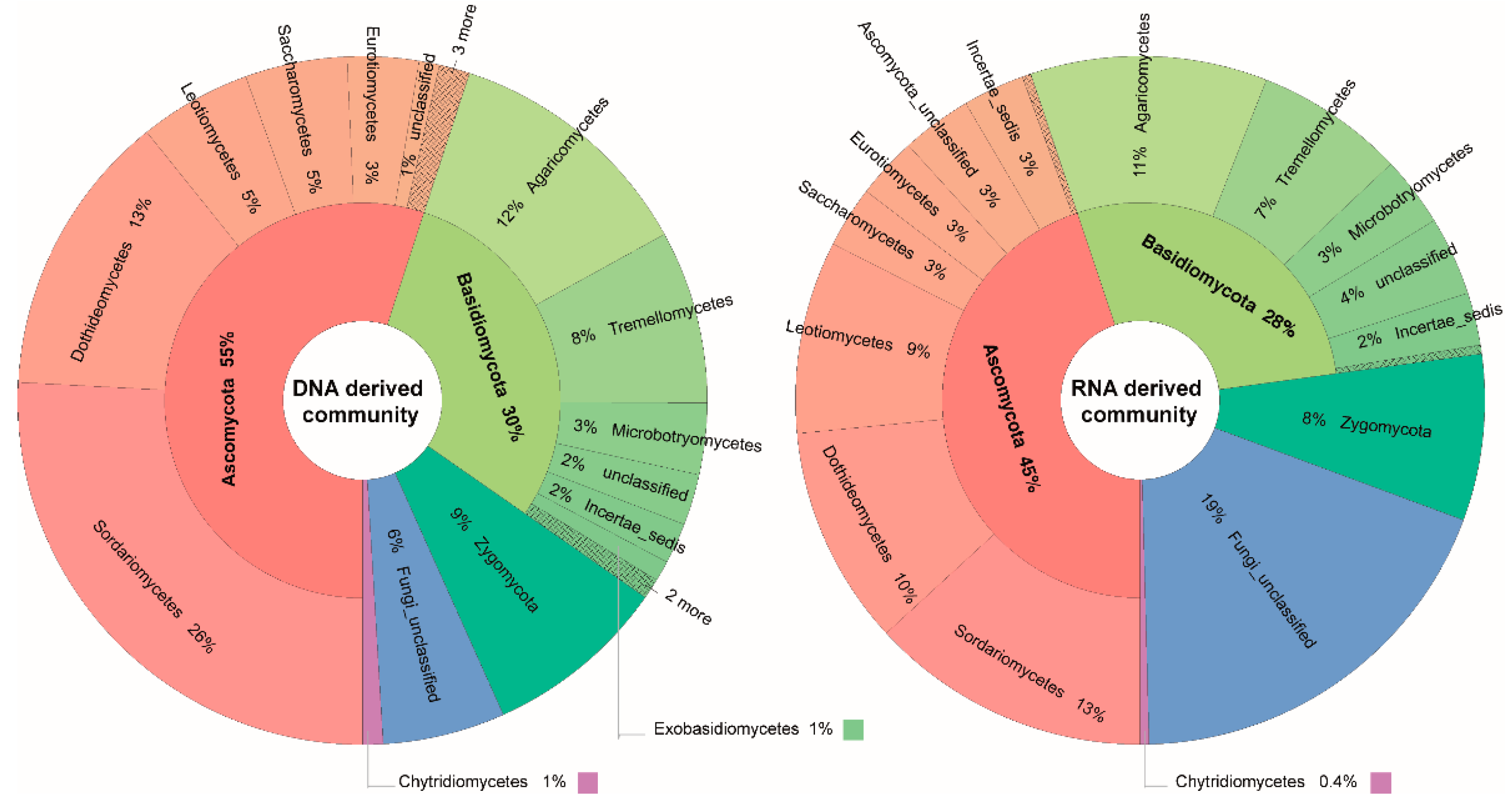 Microorganisms 07 00341 g003