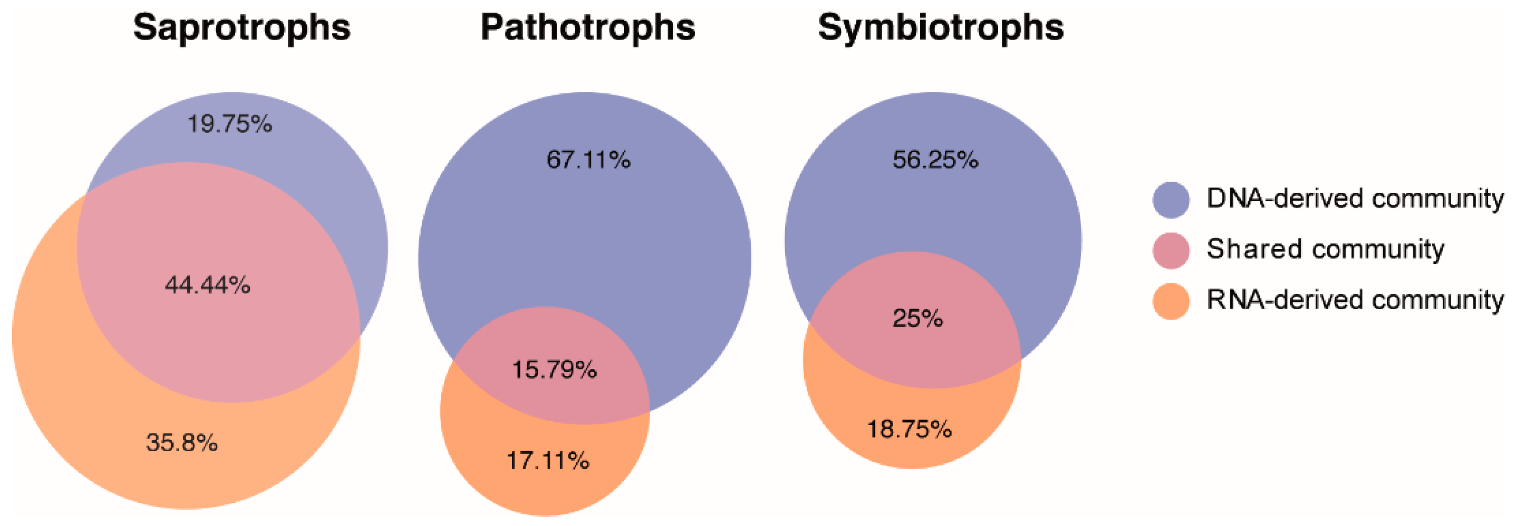 Microorganisms 07 00341 g006