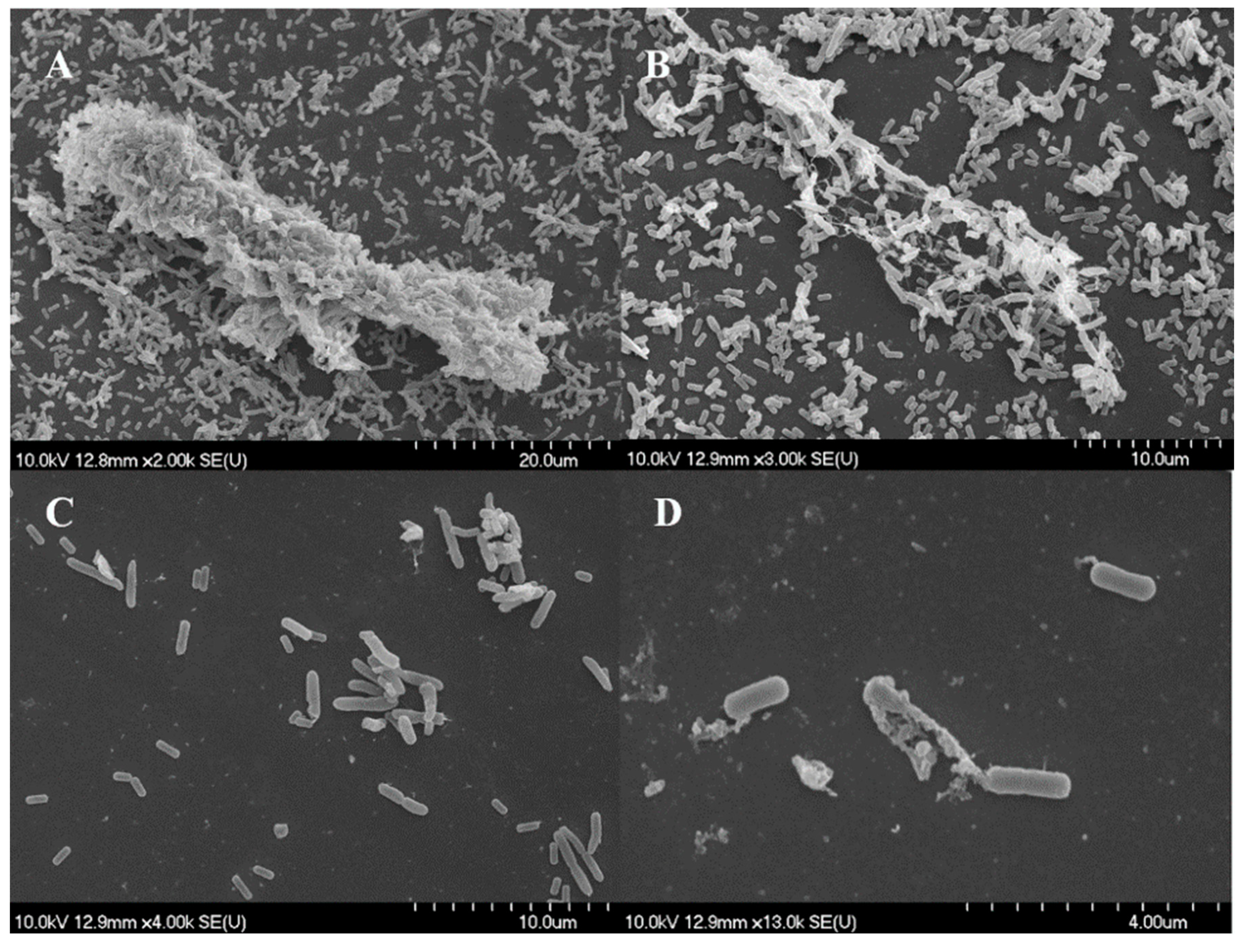 Microorganisms 07 00345 g006