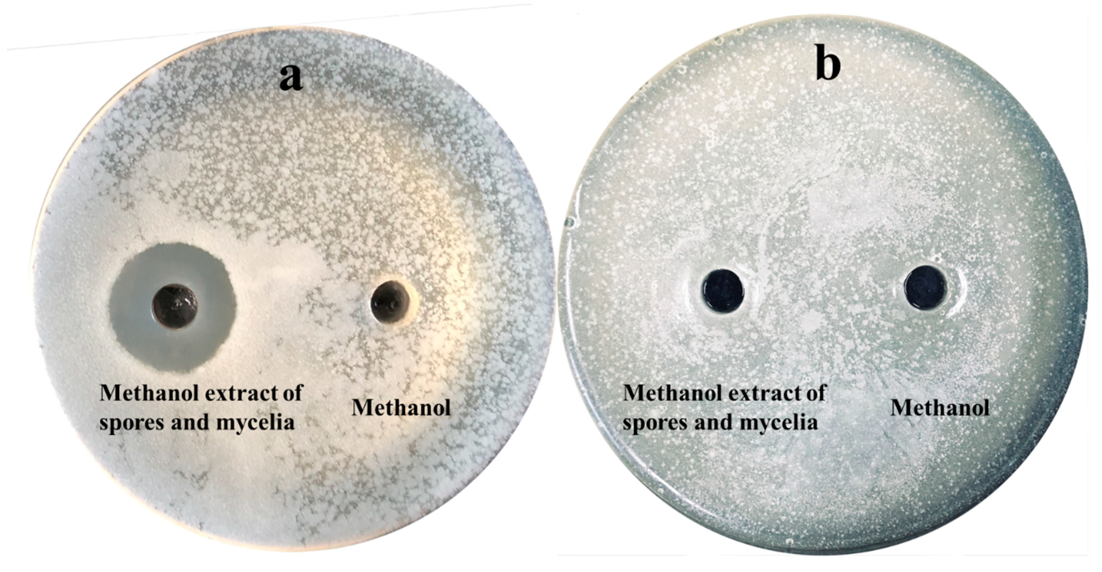 Microorganisms 07 00360 g004
