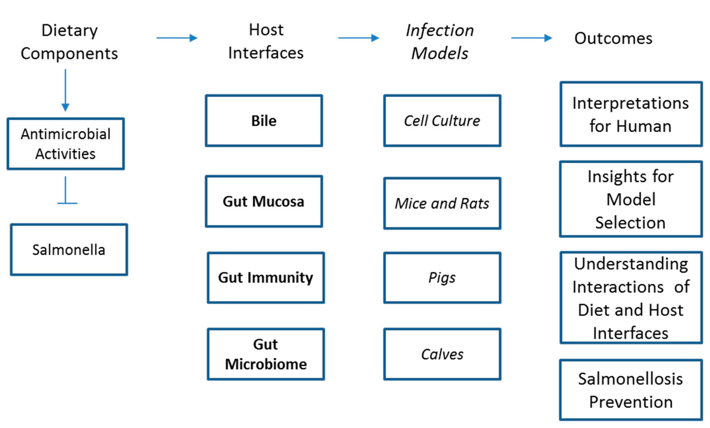 Microorganisms 07 00364 g001