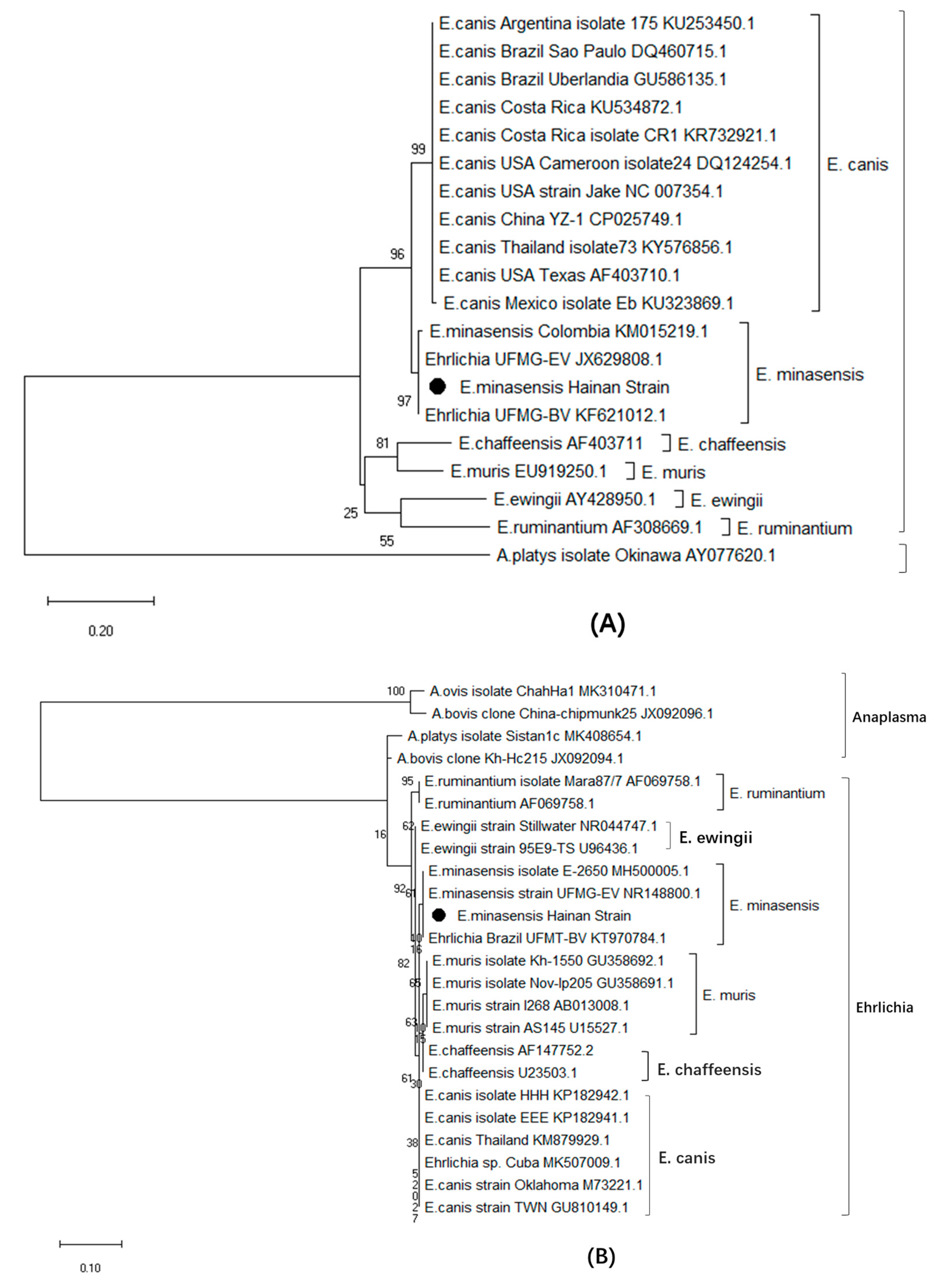 Microorganisms 07 00369 g001a