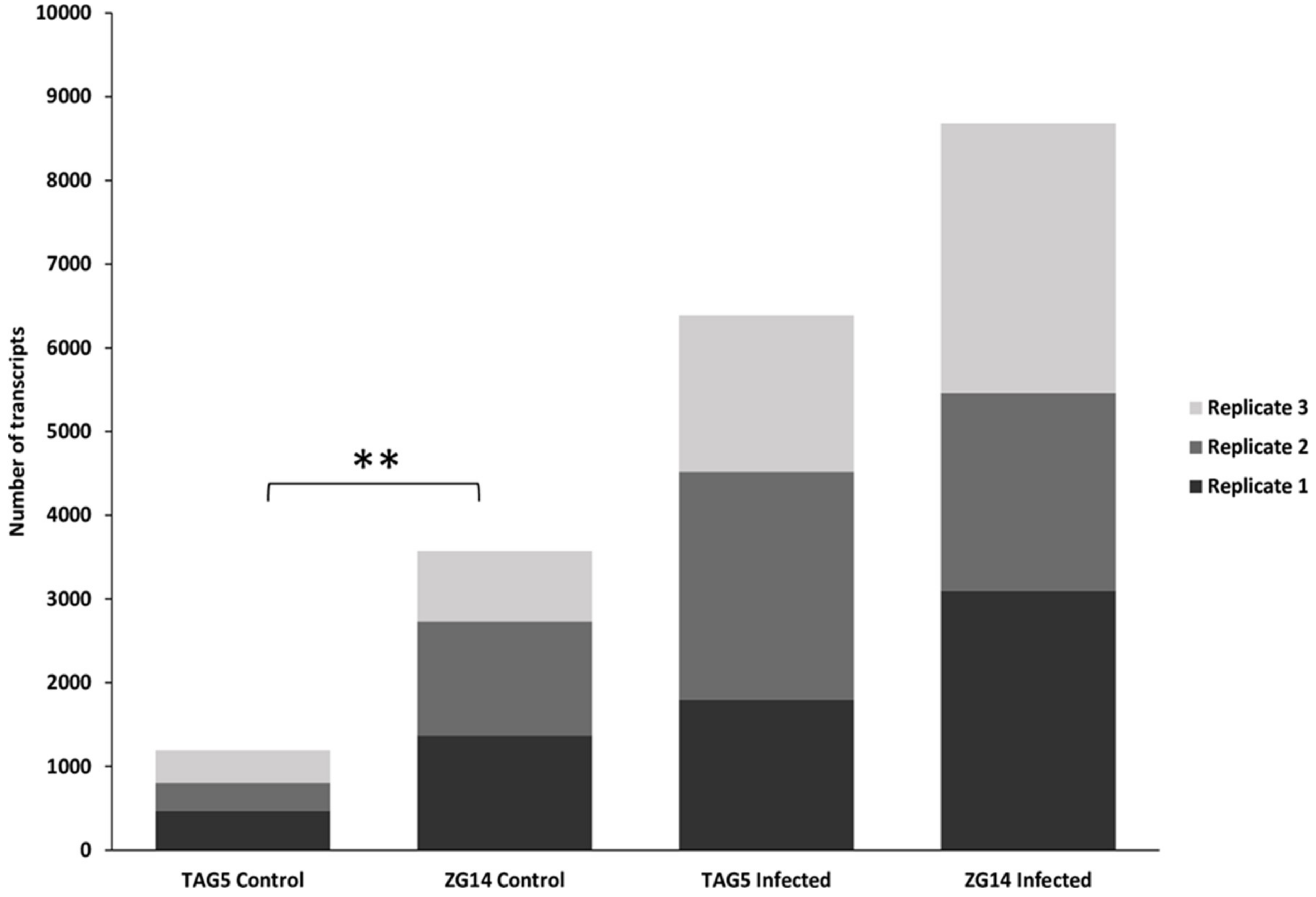 Microorganisms 07 00375 g001