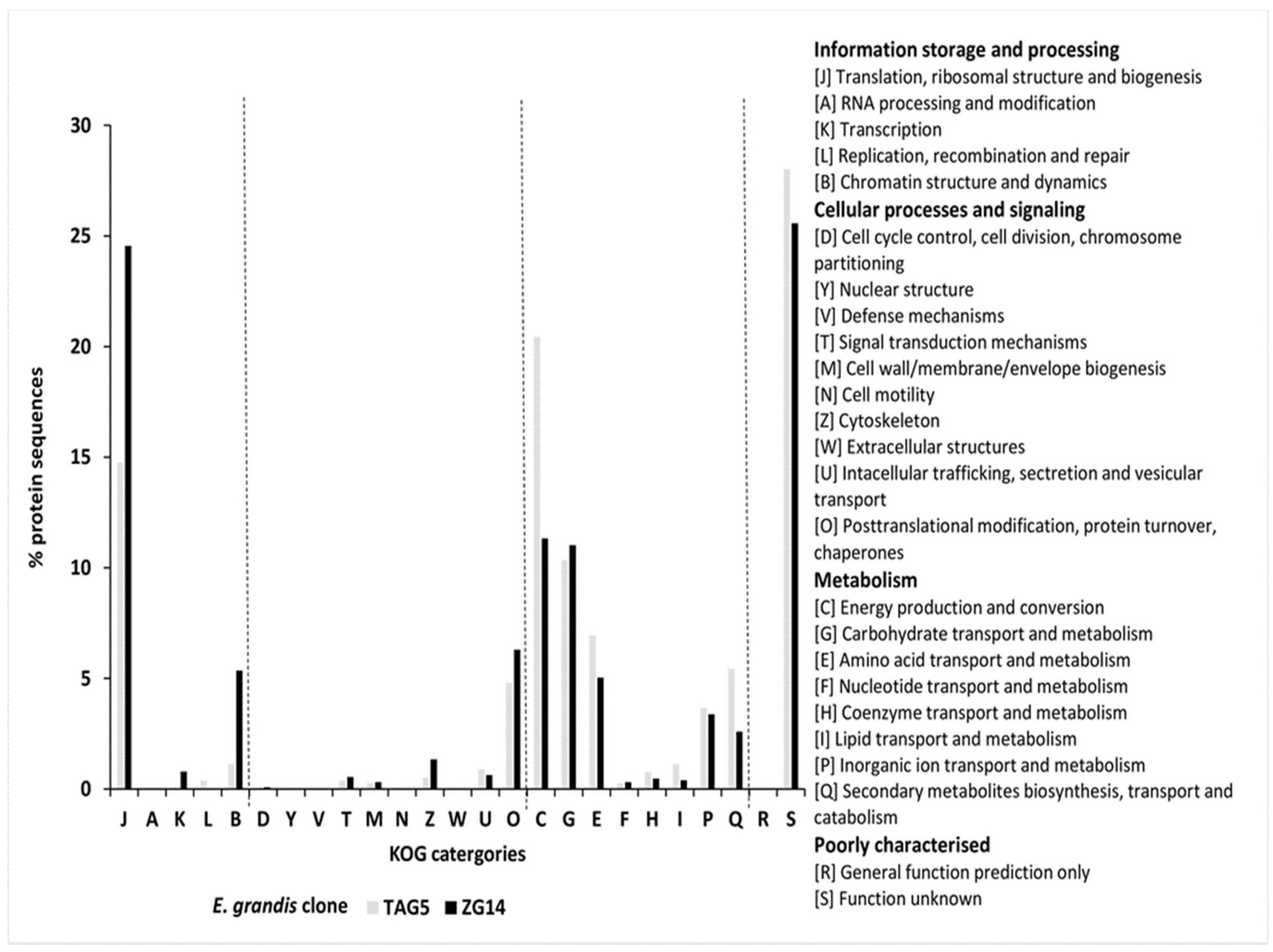 Microorganisms 07 00375 g004