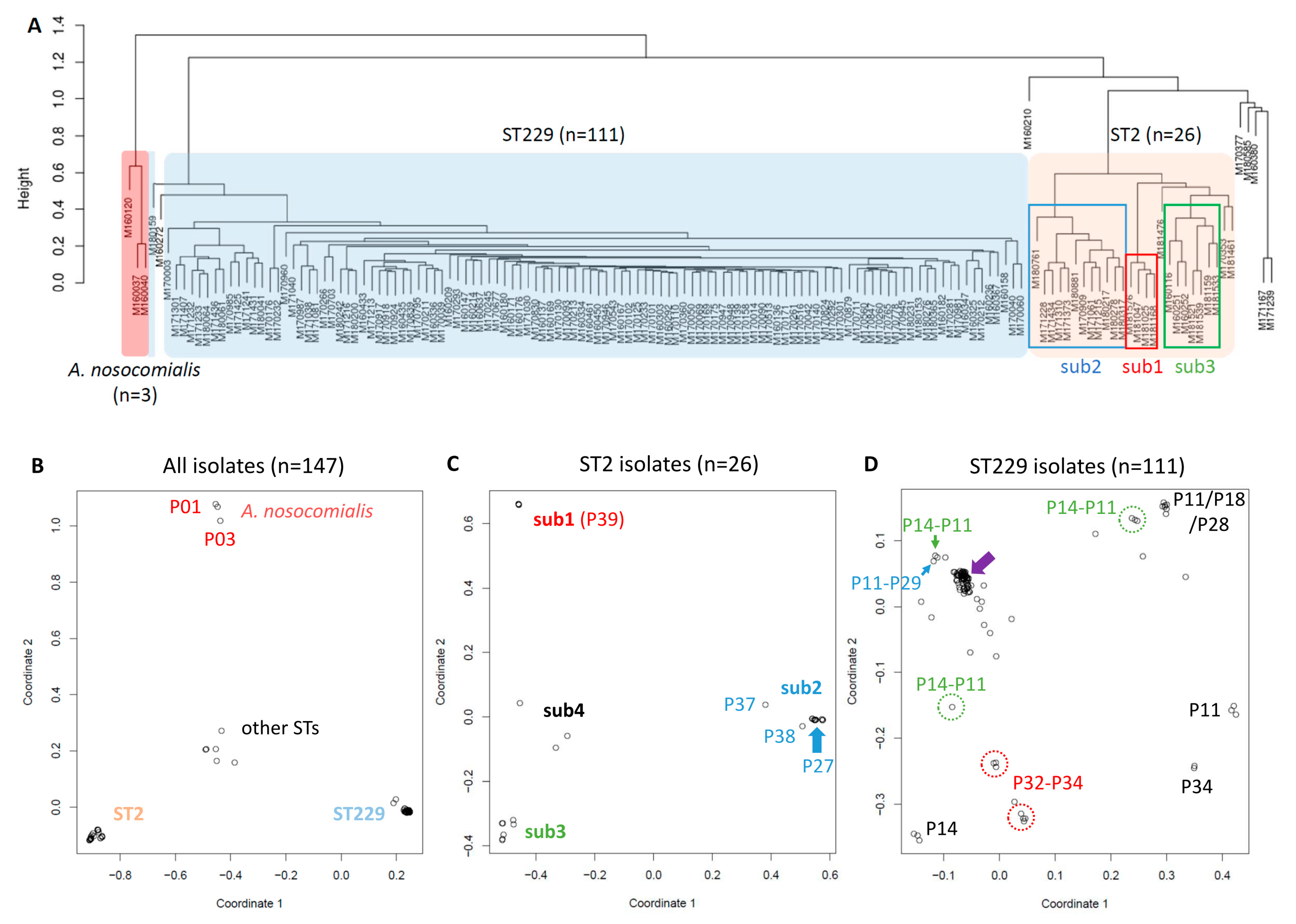 Microorganisms 07 00388 g004a Microorganisms 07 00388 g004a
