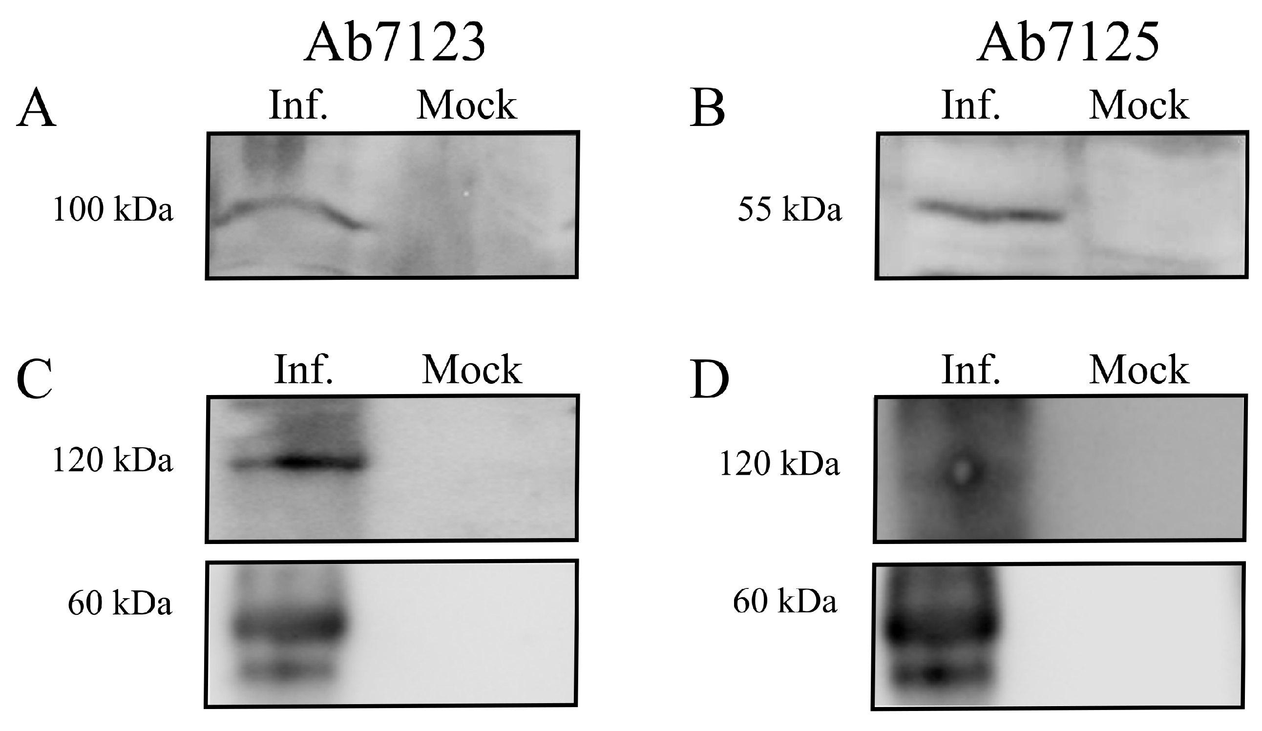Microorganisms 07 00396 g003